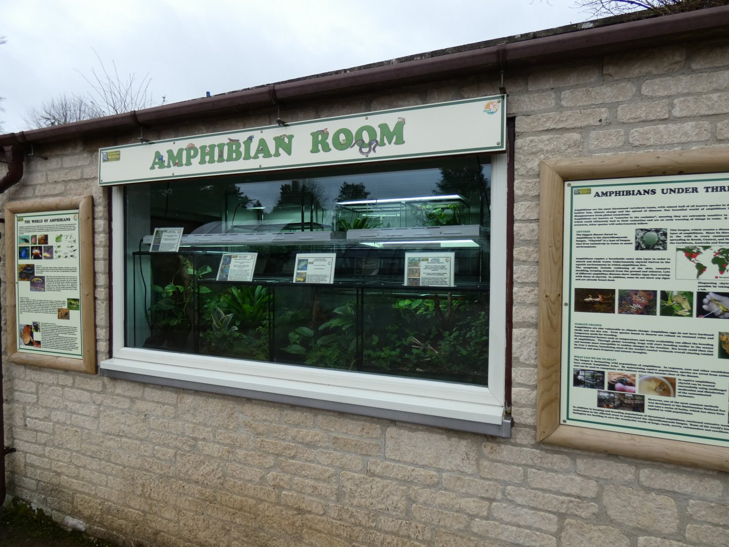 Amphibian Room