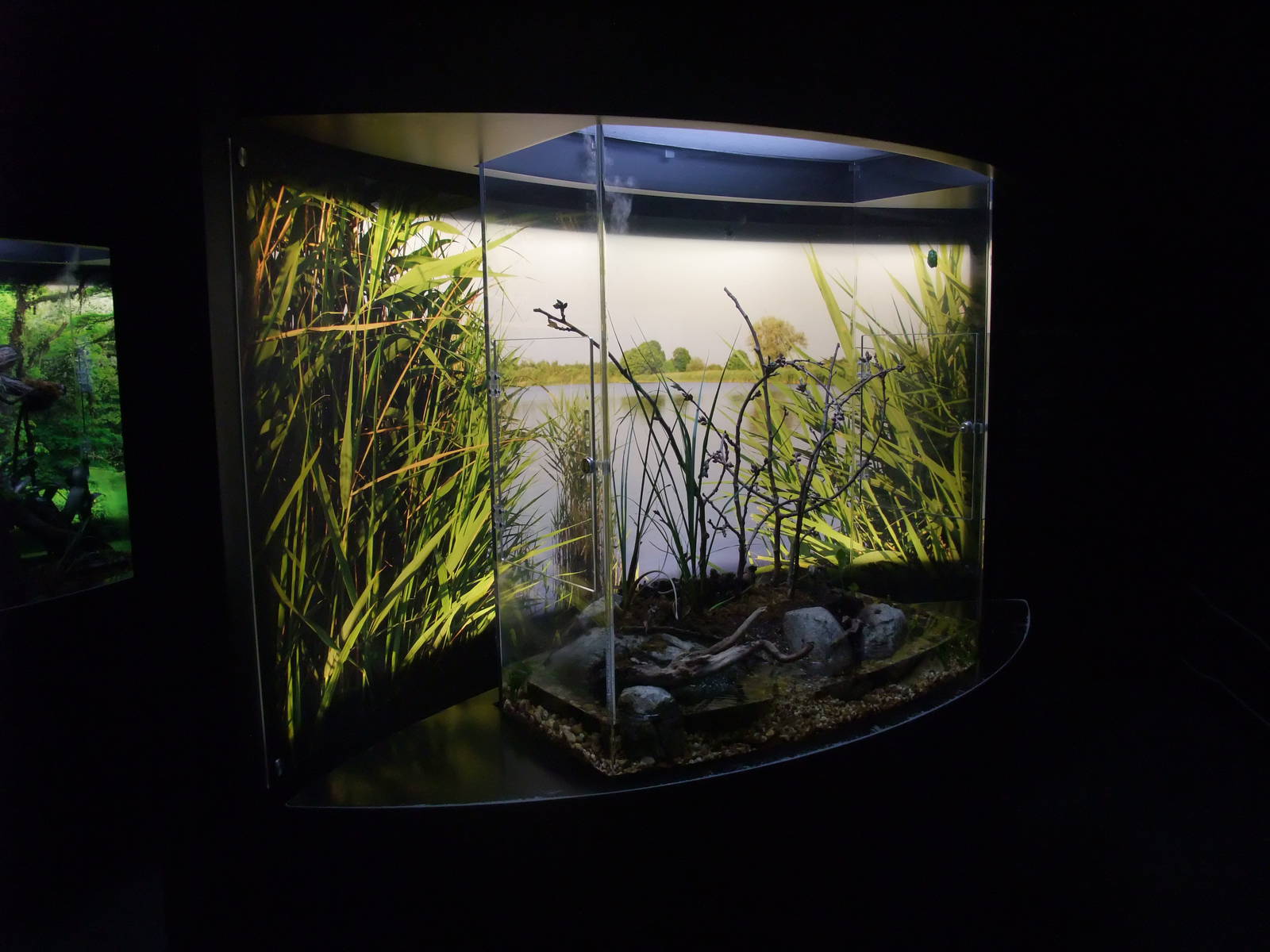 Amphibian Tanks at Lisbon Oceanarium, 25/05/11