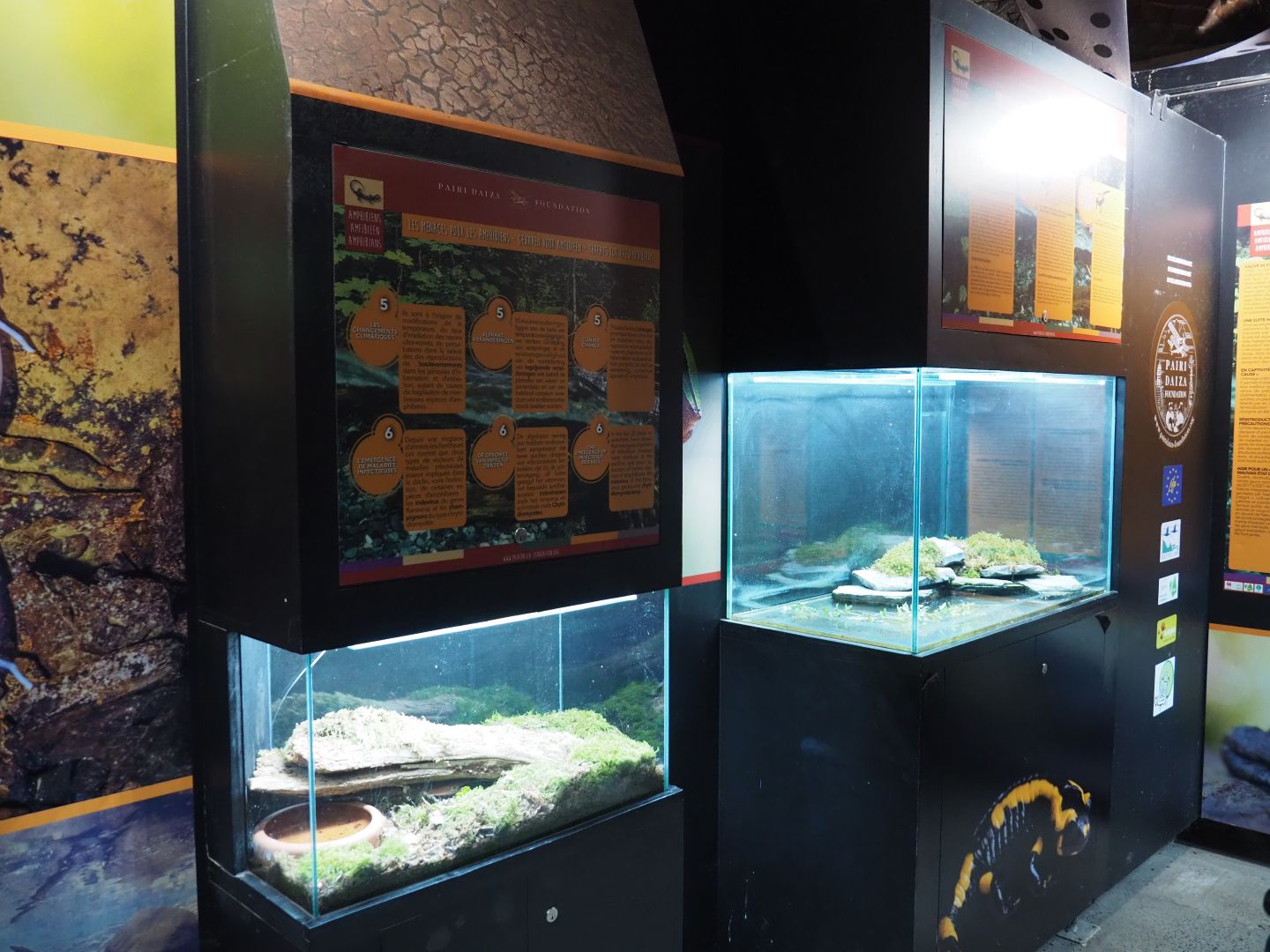 Amphibian terraria in the last room of the crypt, 2020-09-03