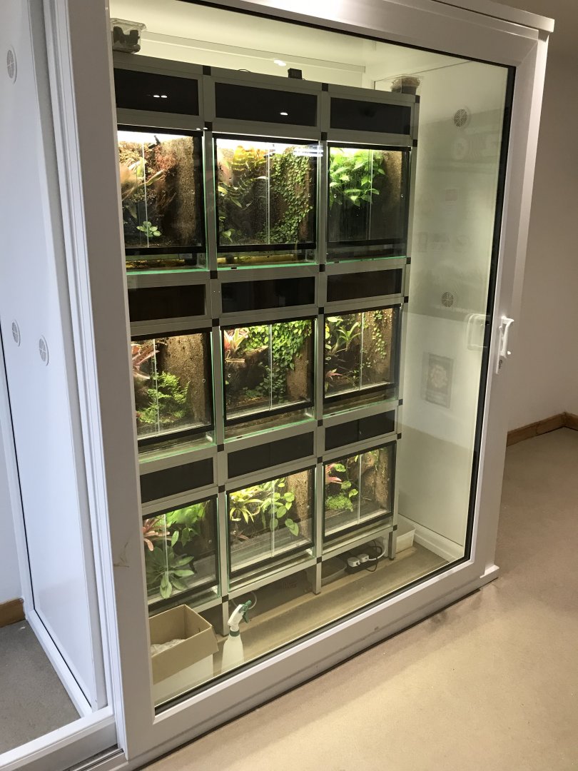 Amphibian terrariums at entrance 150418