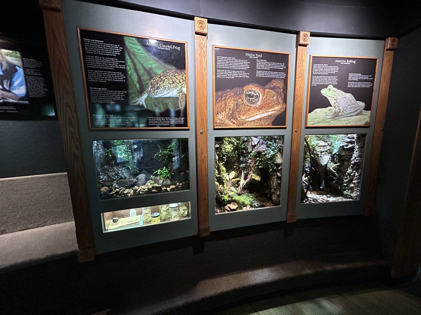 Amphibian Vivaria - Unseen New World