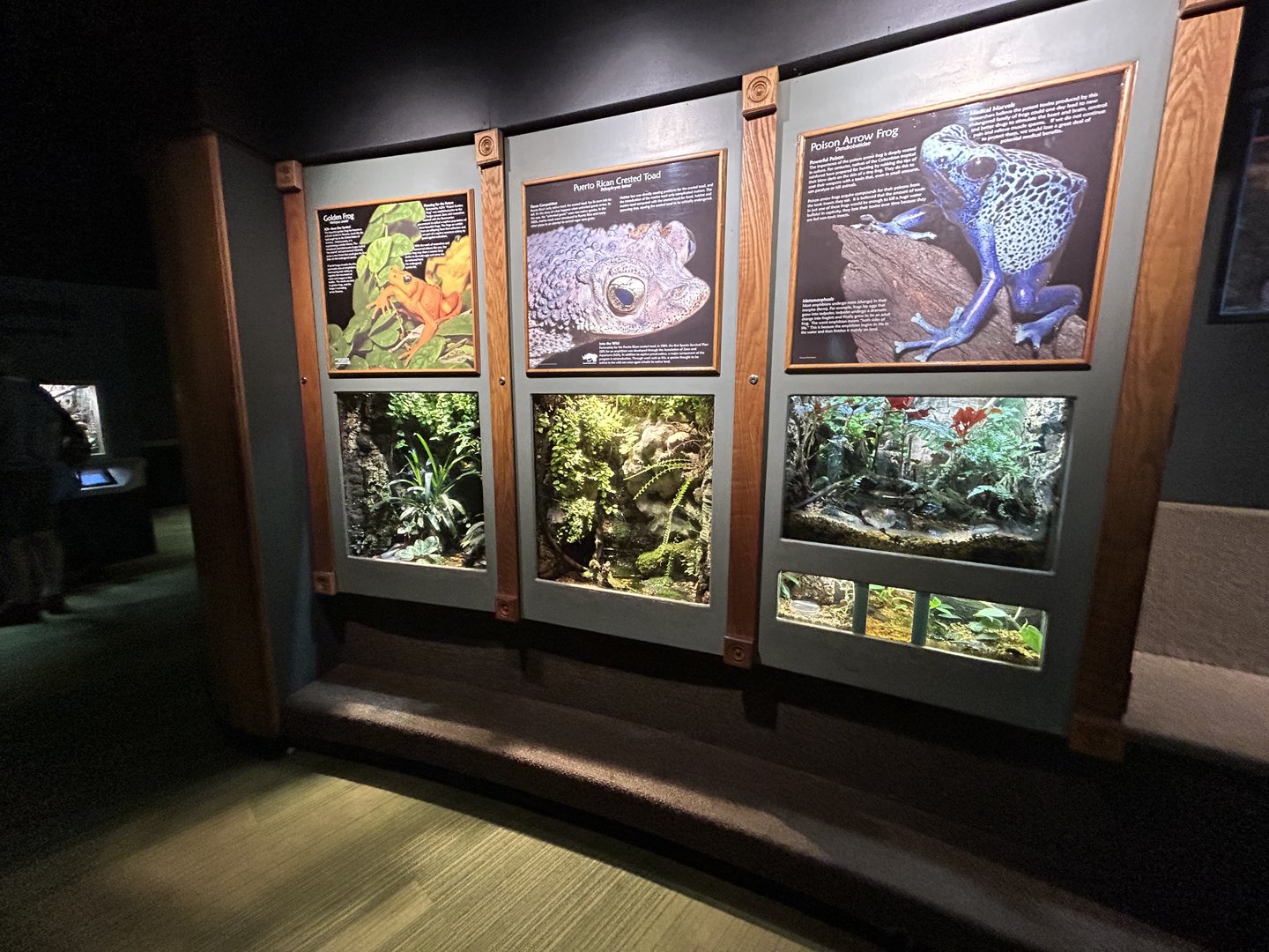 Amphibian Vivaria - Unseen New World