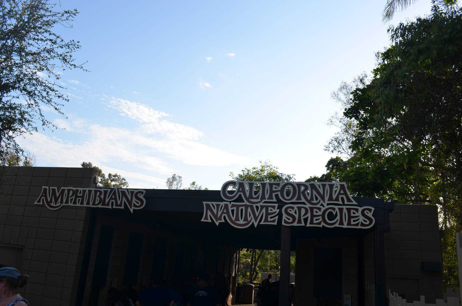 Amphibians/California Native Species Display