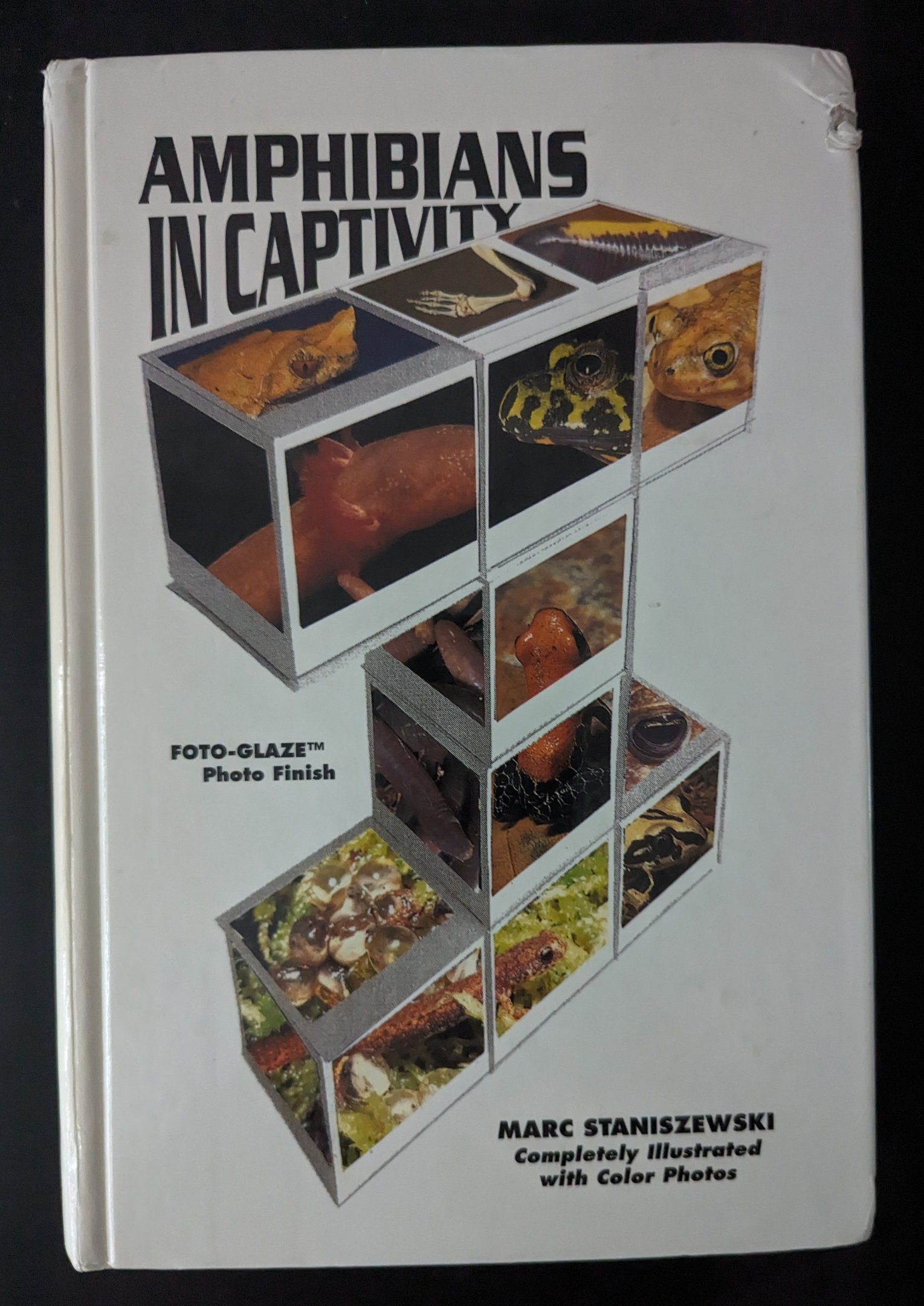 Amphibians In Captivity