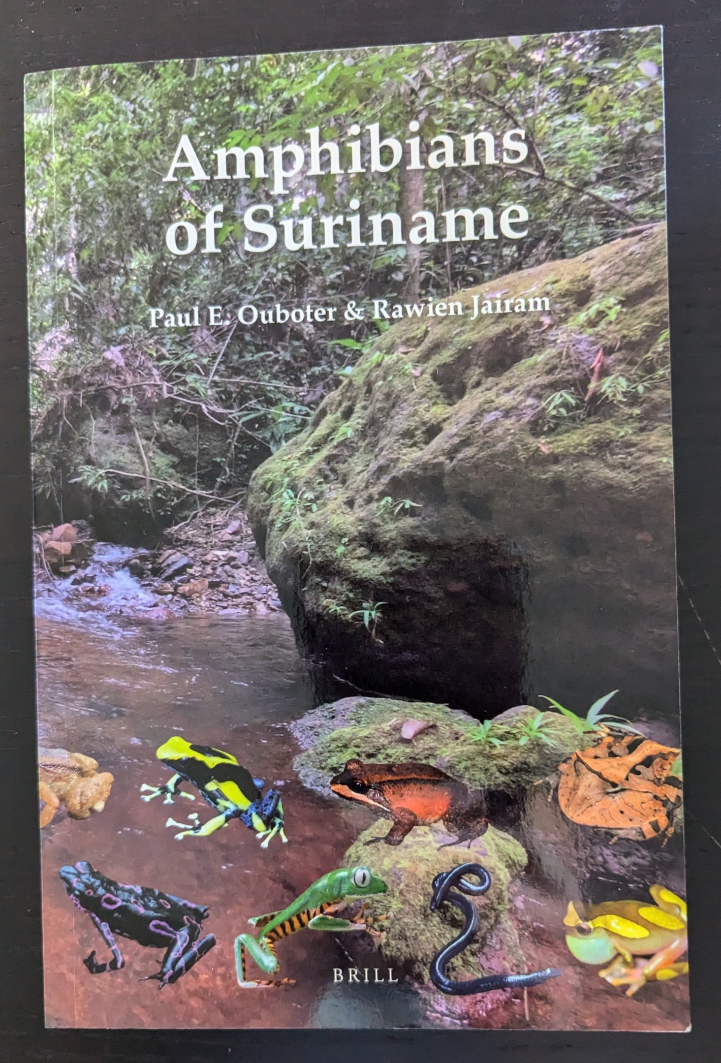 Amphibians of Suriname