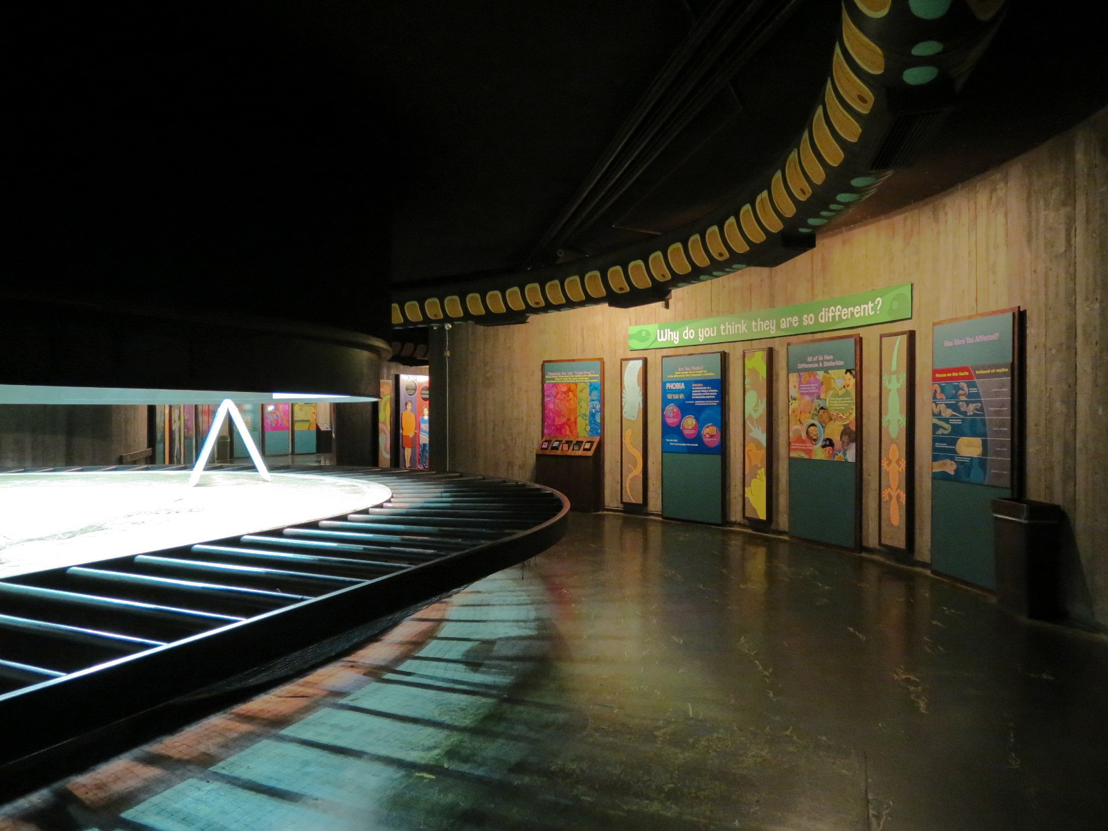 Amphibians & Reptiles - Aldabra Tortoise Indoor Exhibit