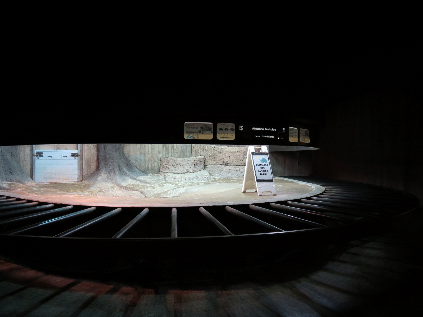 Amphibians & Reptiles - Aldabra Tortoise Indoor Exhibit