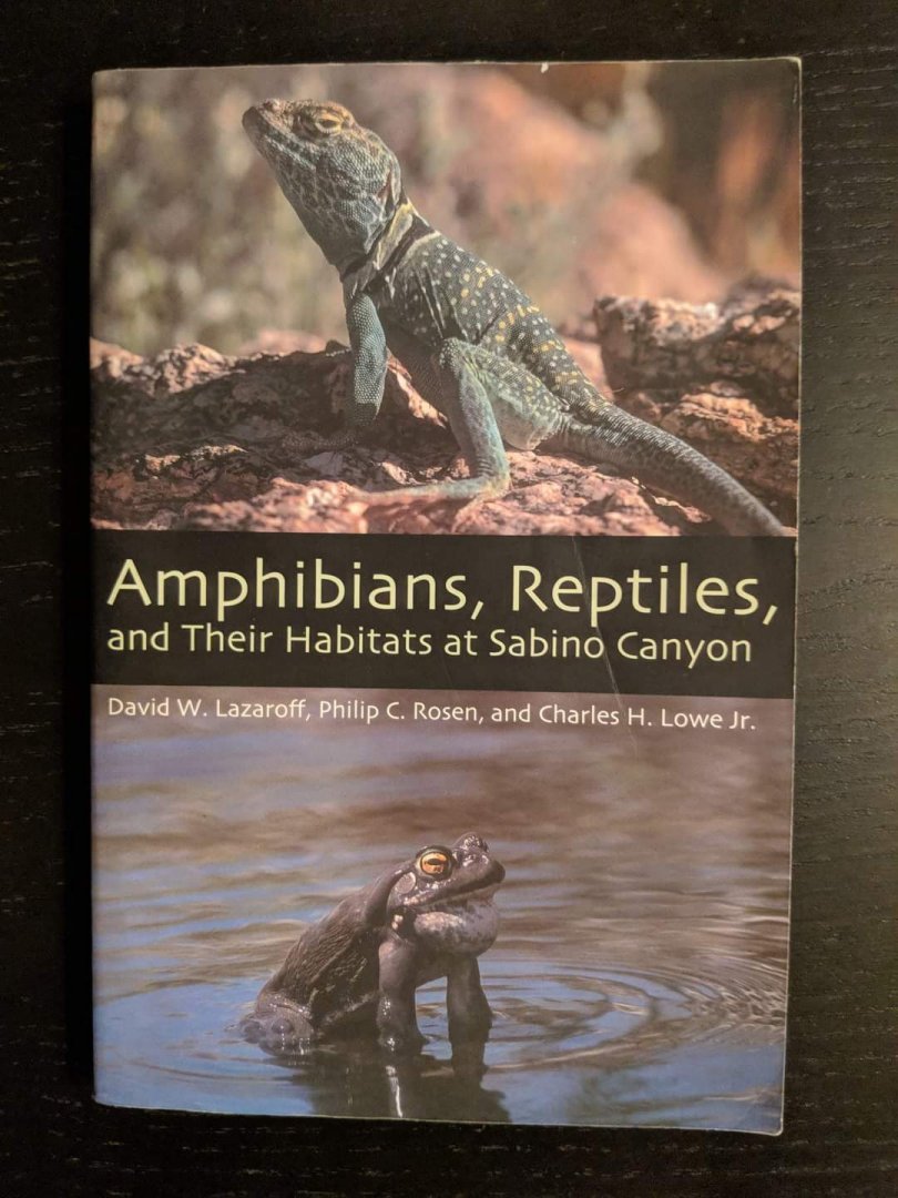Amphibians, Reptiles, and their Habitats at Sabino Canyon