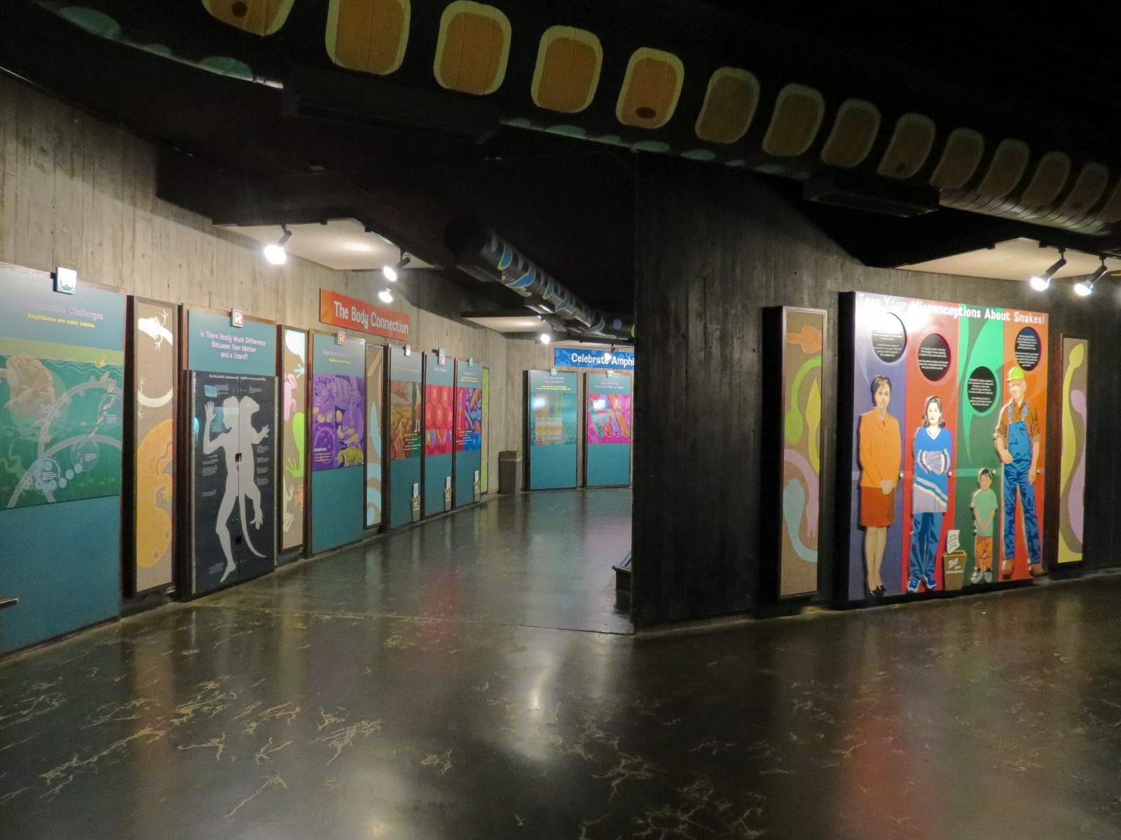 Amphibians & Reptiles - Hallway