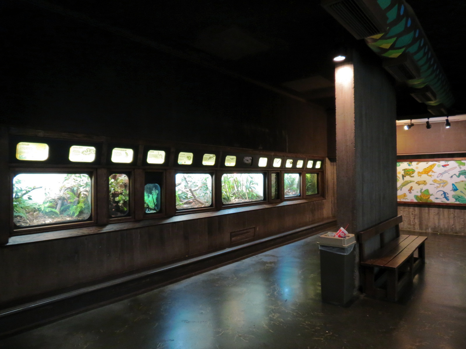 Amphibians & Reptiles - Hallway