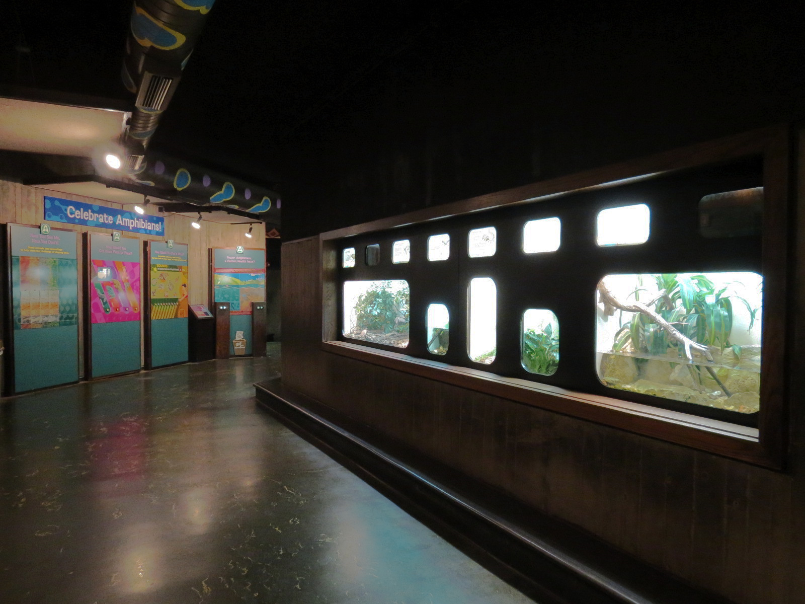 Amphibians & Reptiles - Hallway