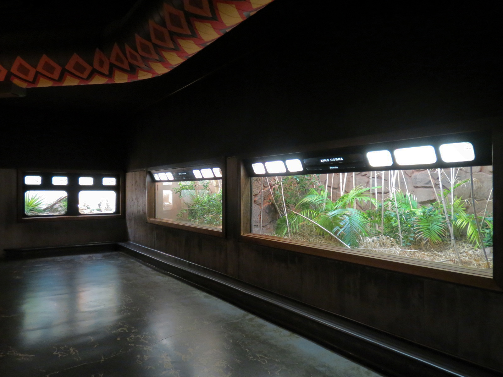 Amphibians & Reptiles - Hallway