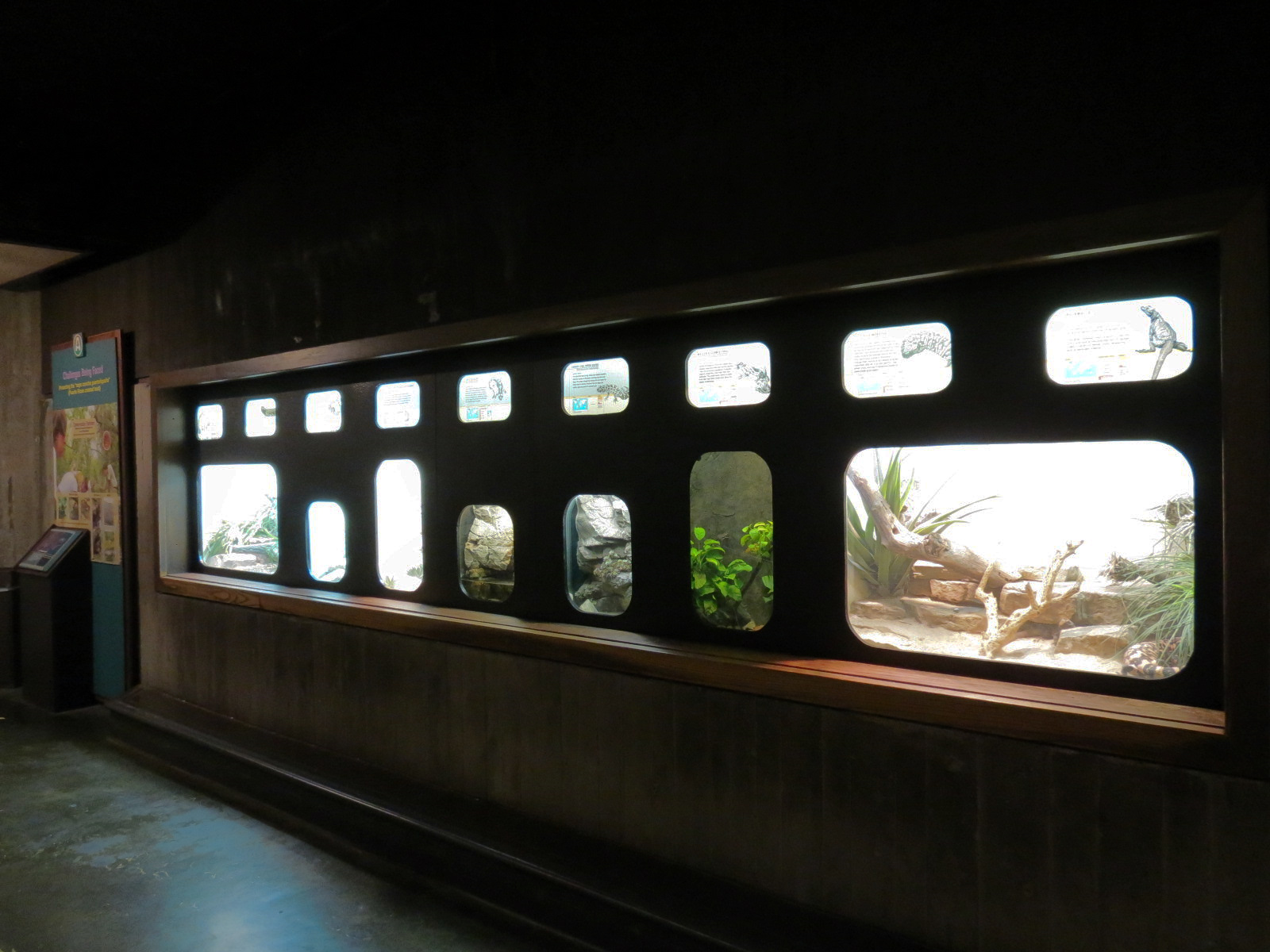 Amphibians & Reptiles - Hallway