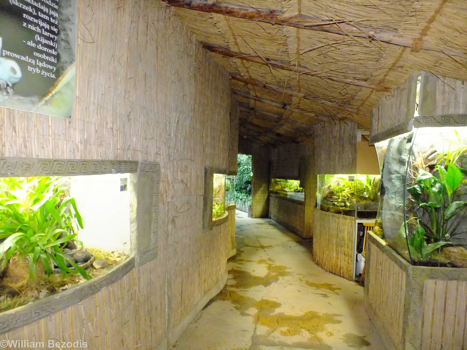 Amphibians Section in Cold-blooded Animals Pavilion