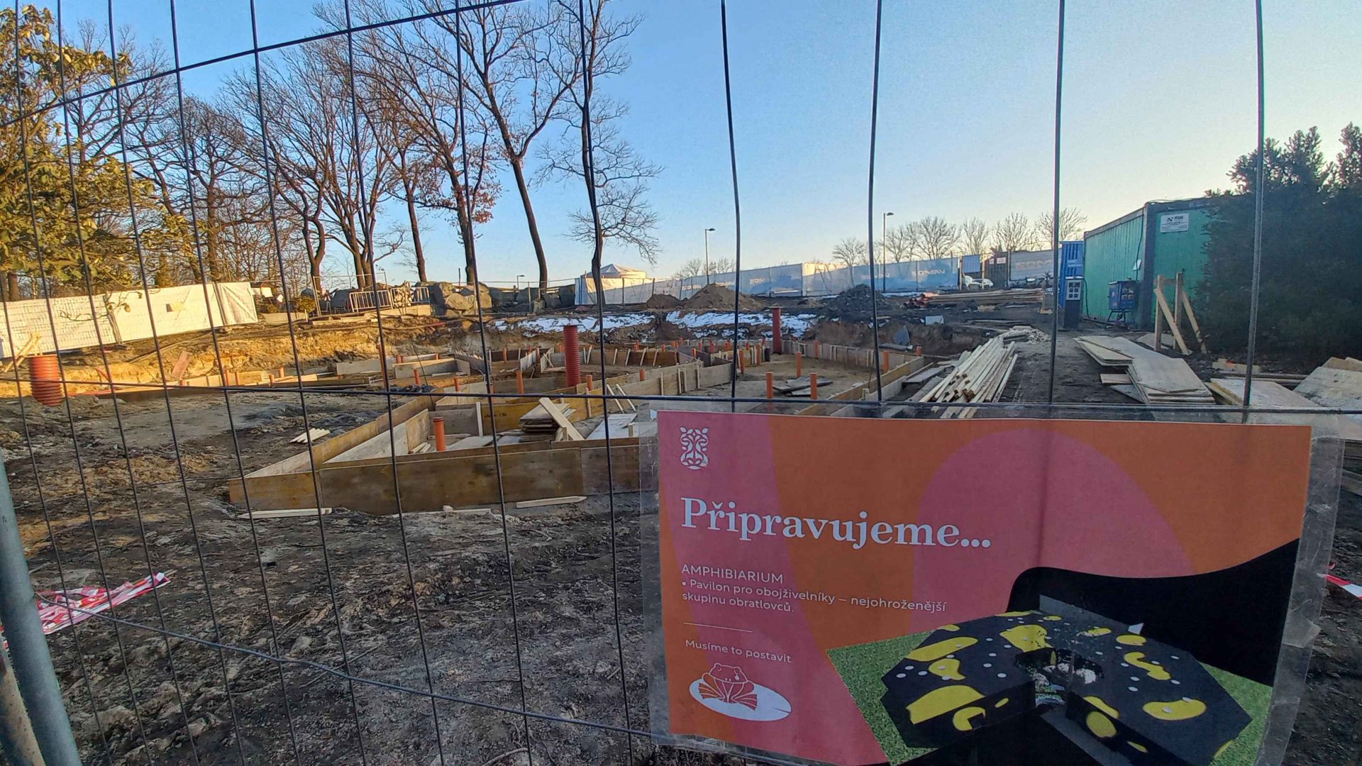 Amphibiarium - Early stages