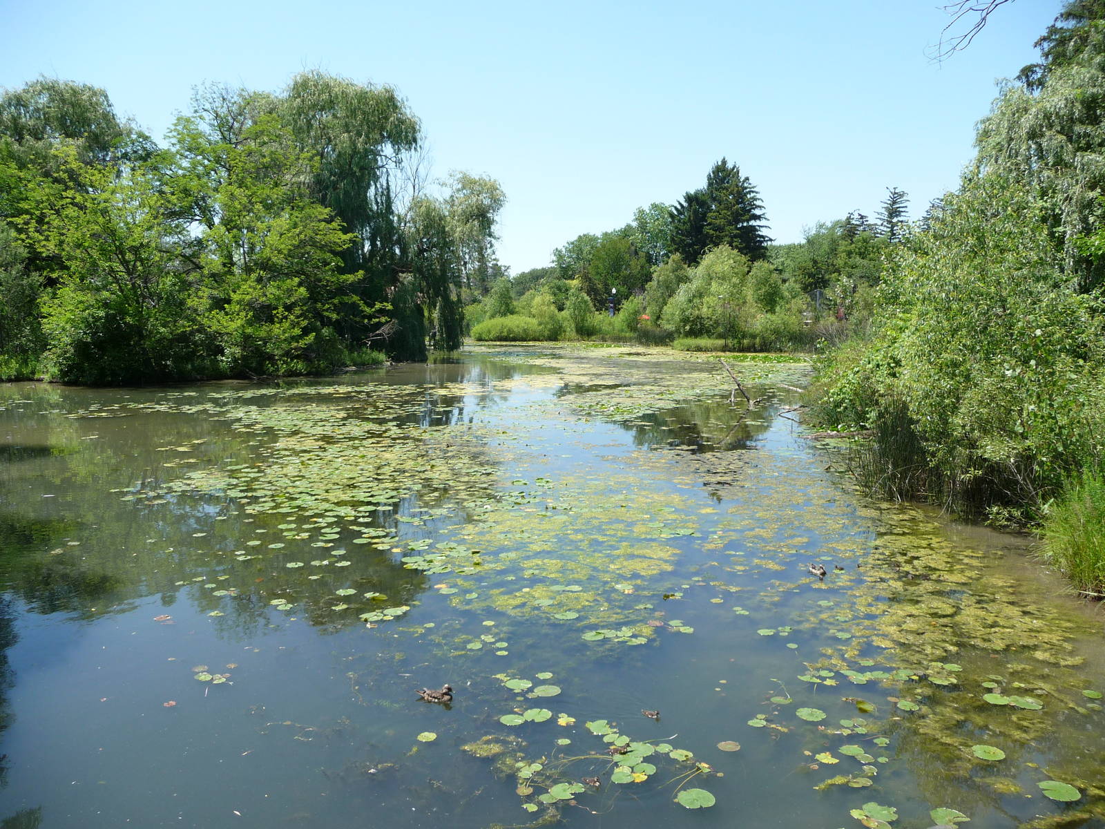 Amphibiville - Detroit Zoo