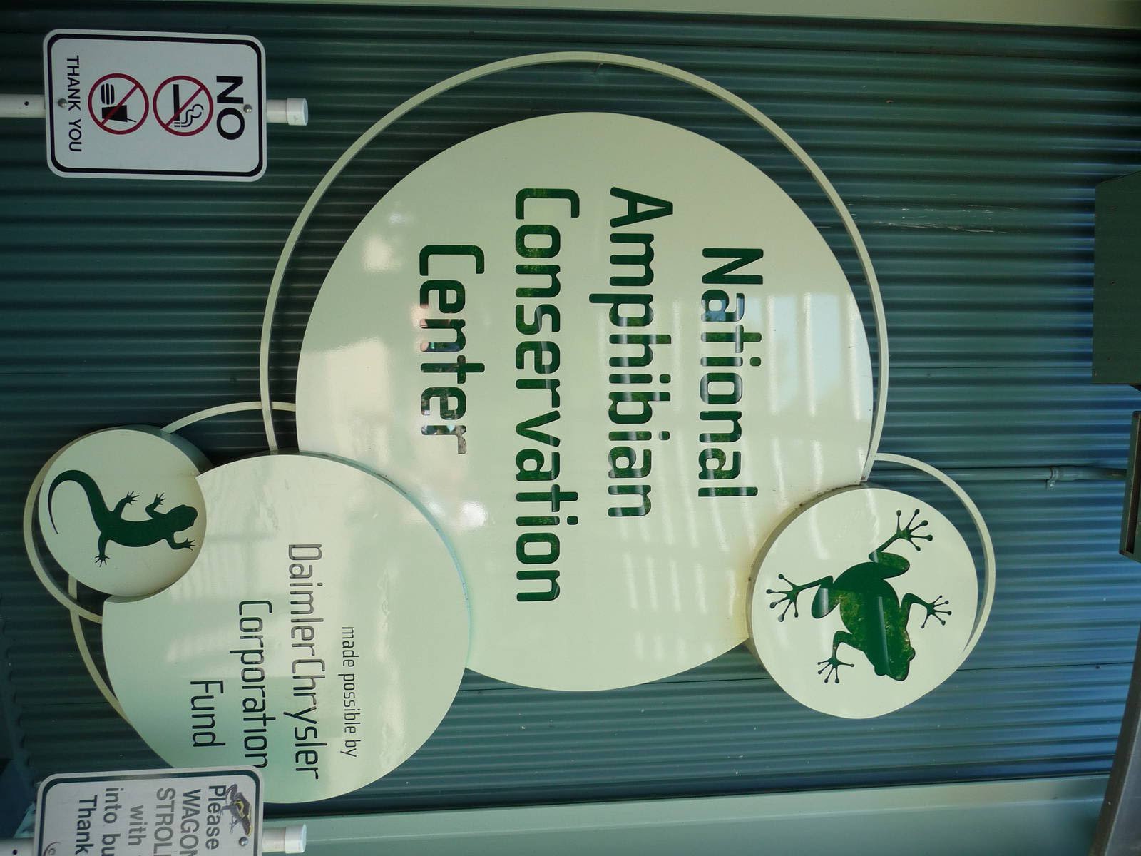 Amphibiville - Detroit Zoo