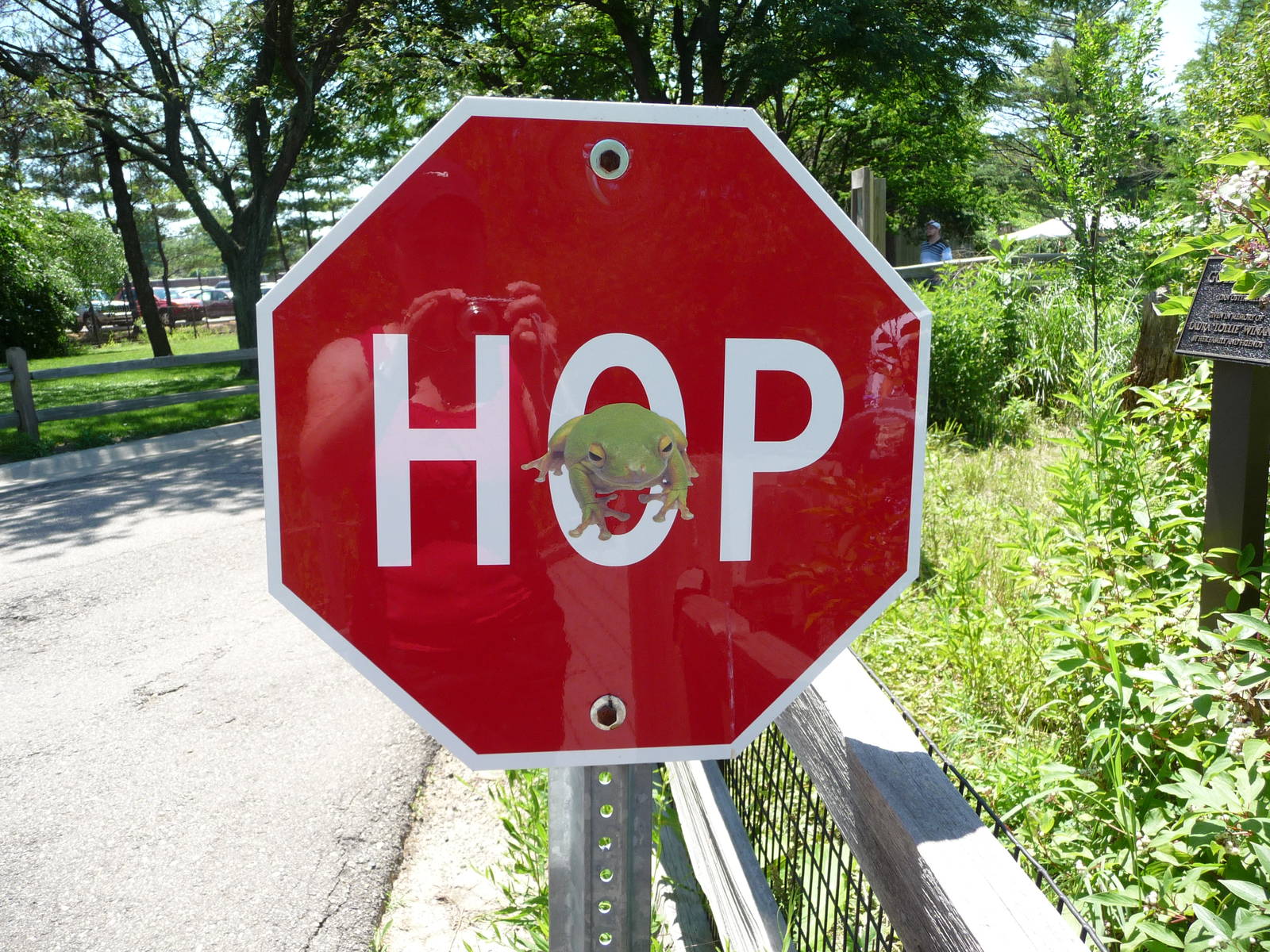 Amphibiville - Detroit Zoo