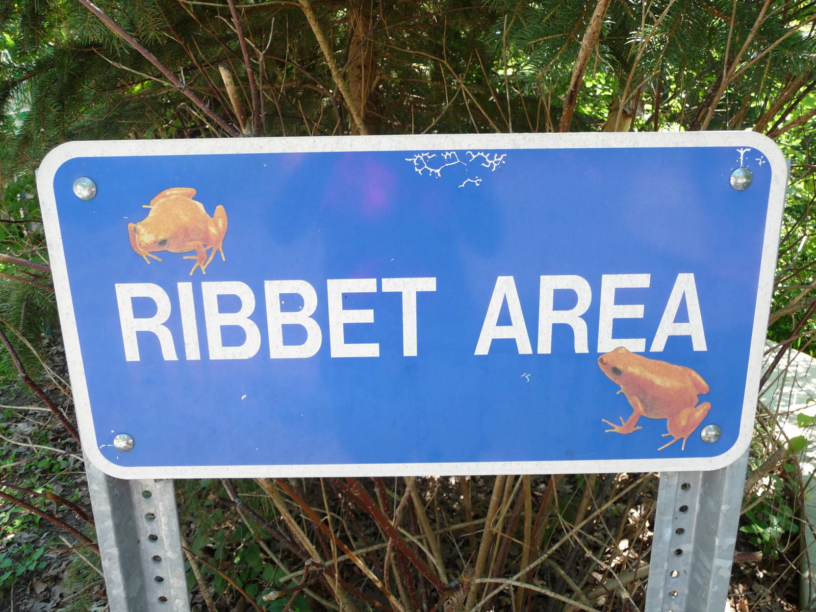 Amphibiville - Detroit Zoo