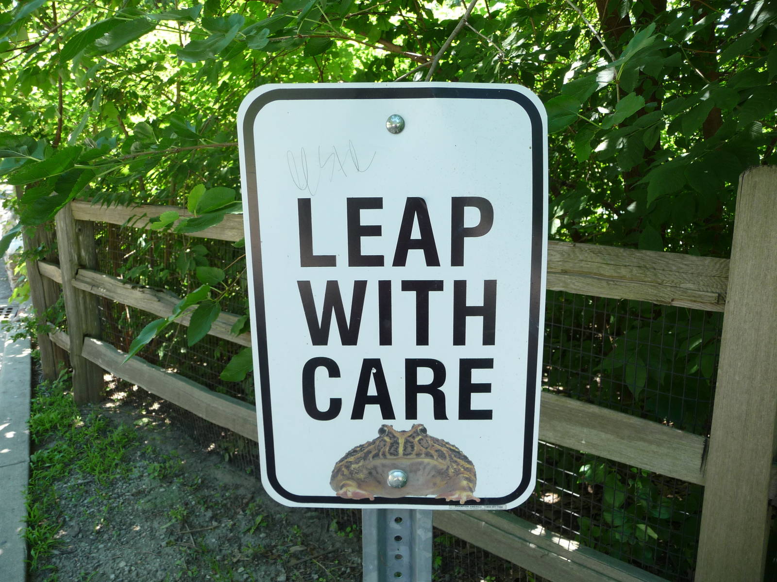 Amphibiville - Detroit Zoo