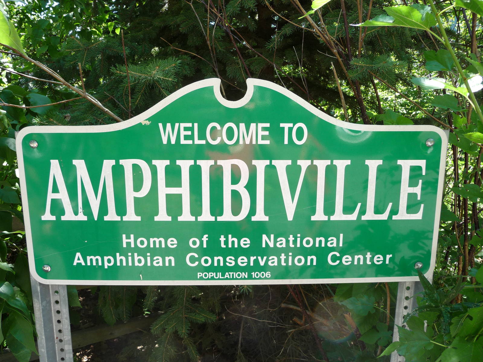 Amphibiville - Detroit Zoo