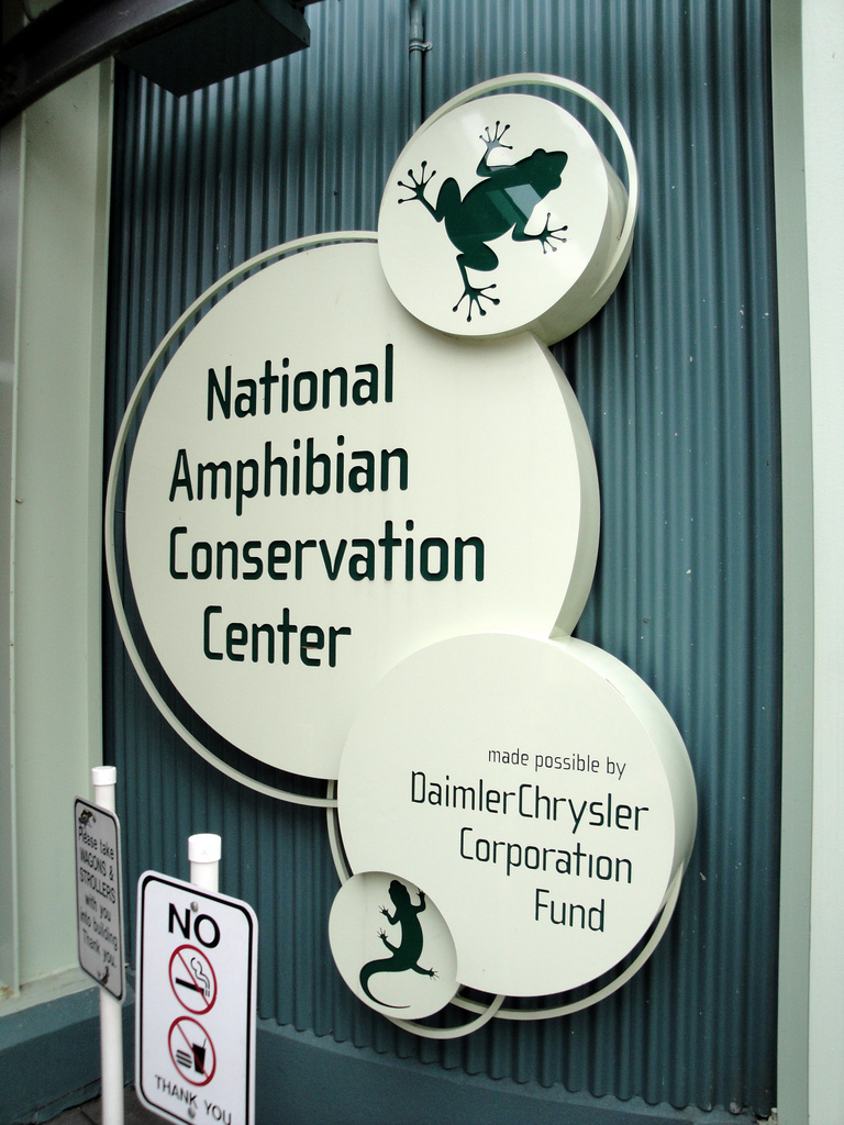 Amphibiville - Entrance