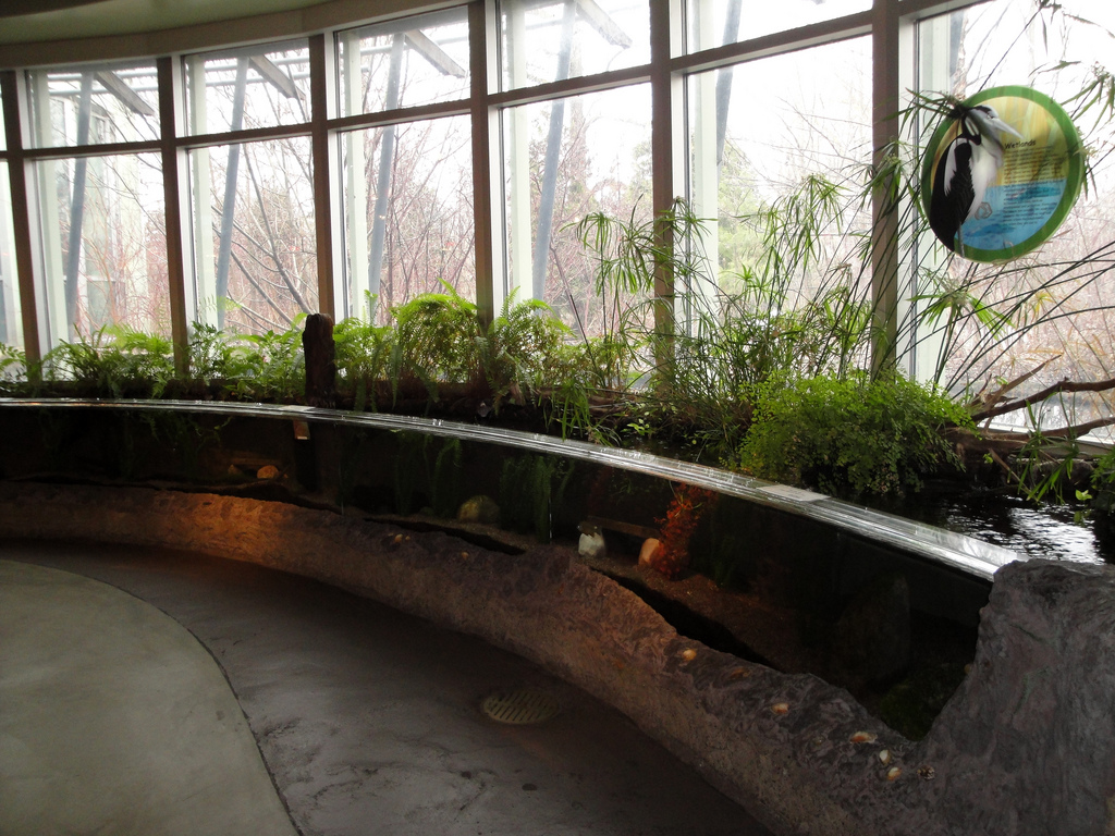 Amphibiville - Minnesota Marsh Exhibit