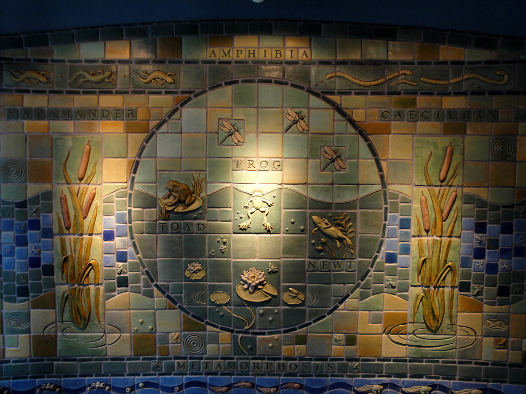 Amphibiville - Tile Wall