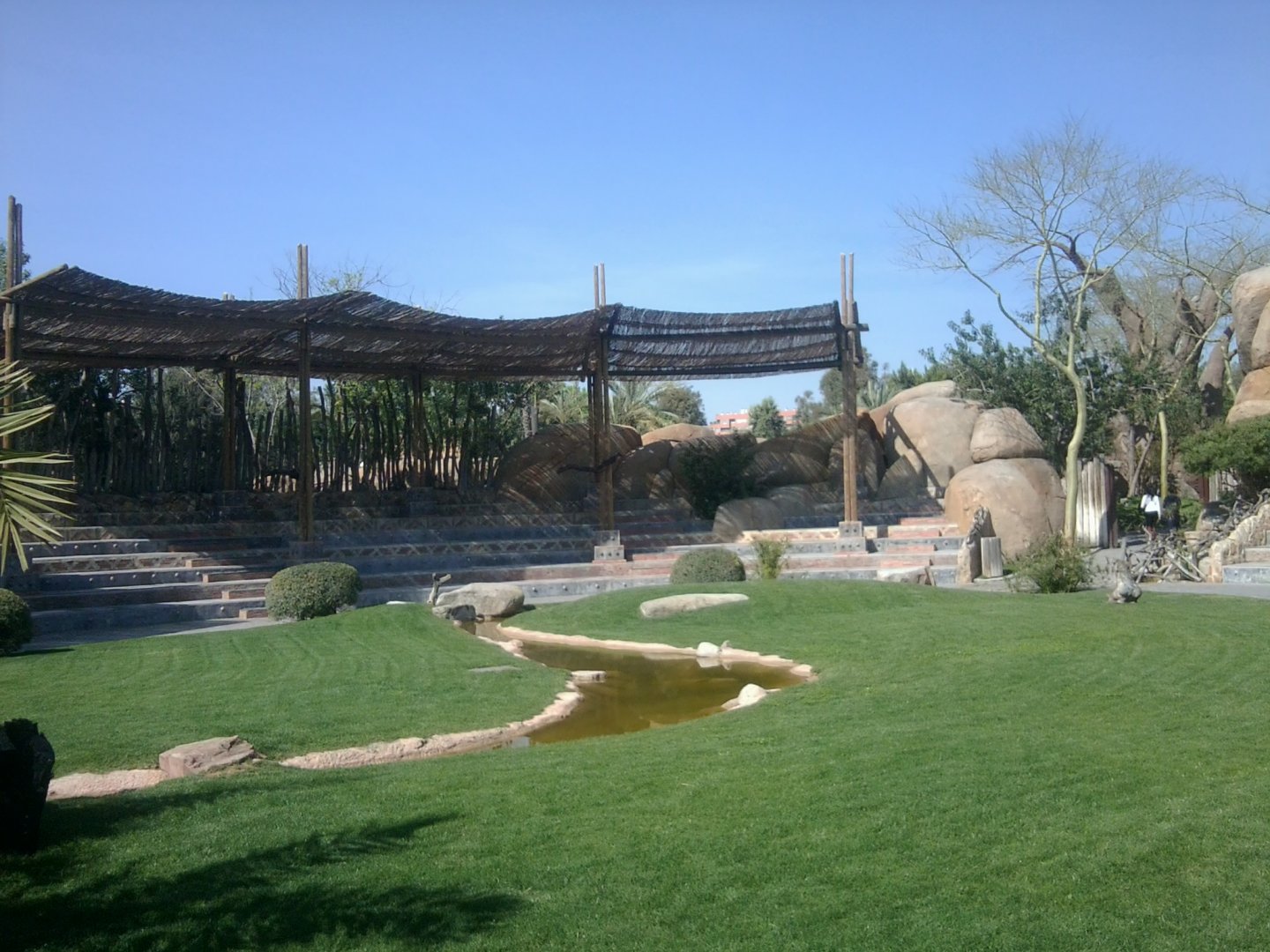 Amphiteathre for bird show