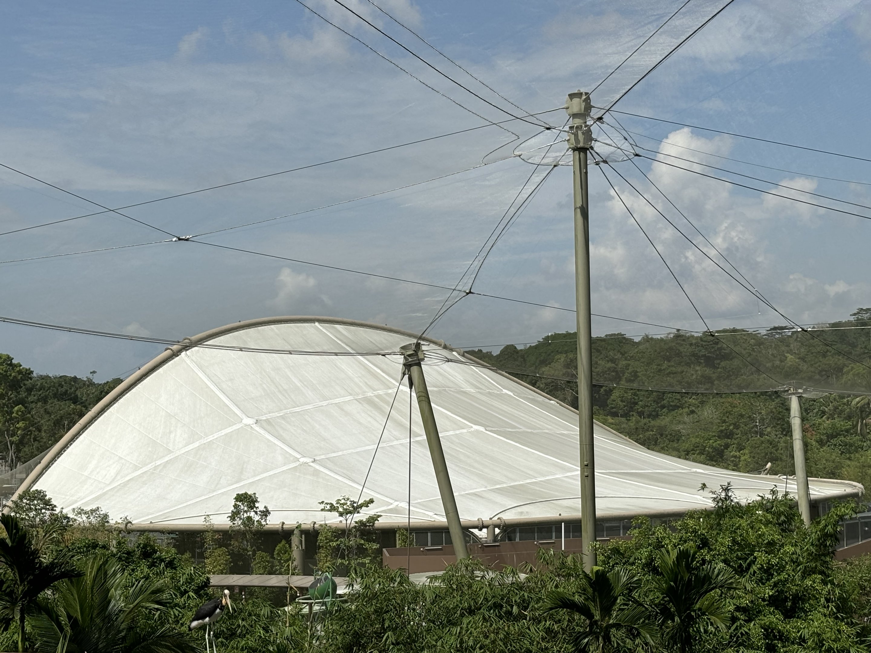 Amphitheater - bird show arena