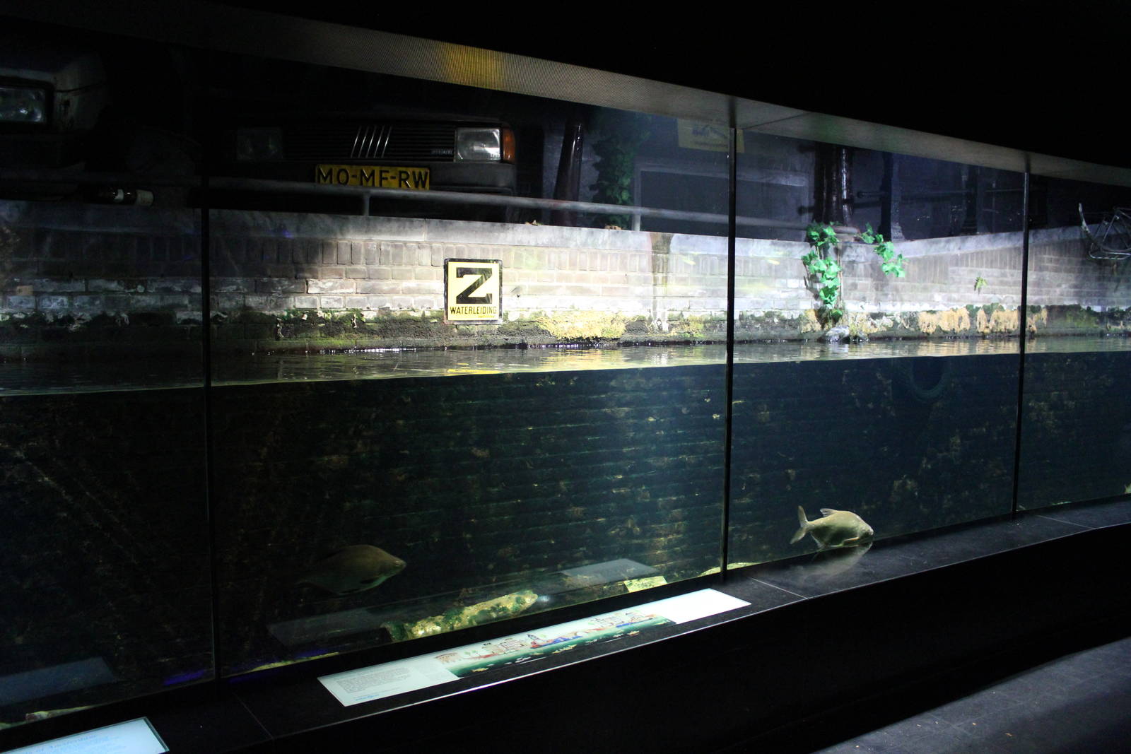 Amsterdam canals aquarium