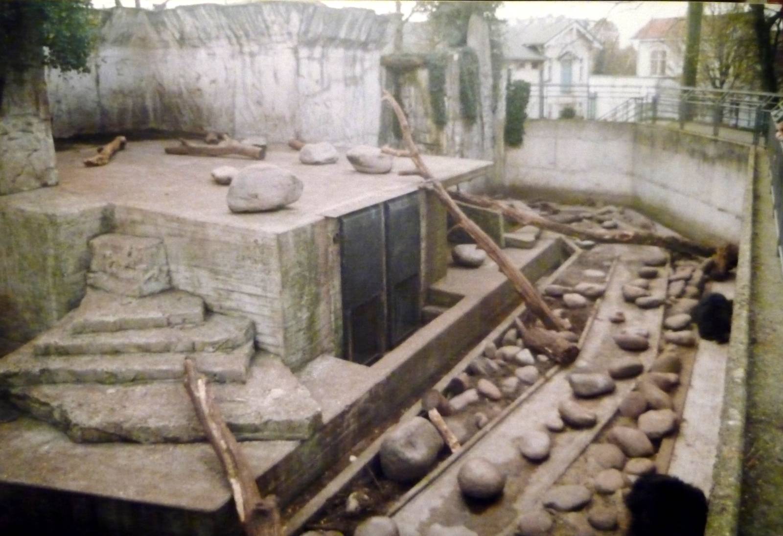 Amsterdam Zoo Sloth Bear Enclosure, 2000