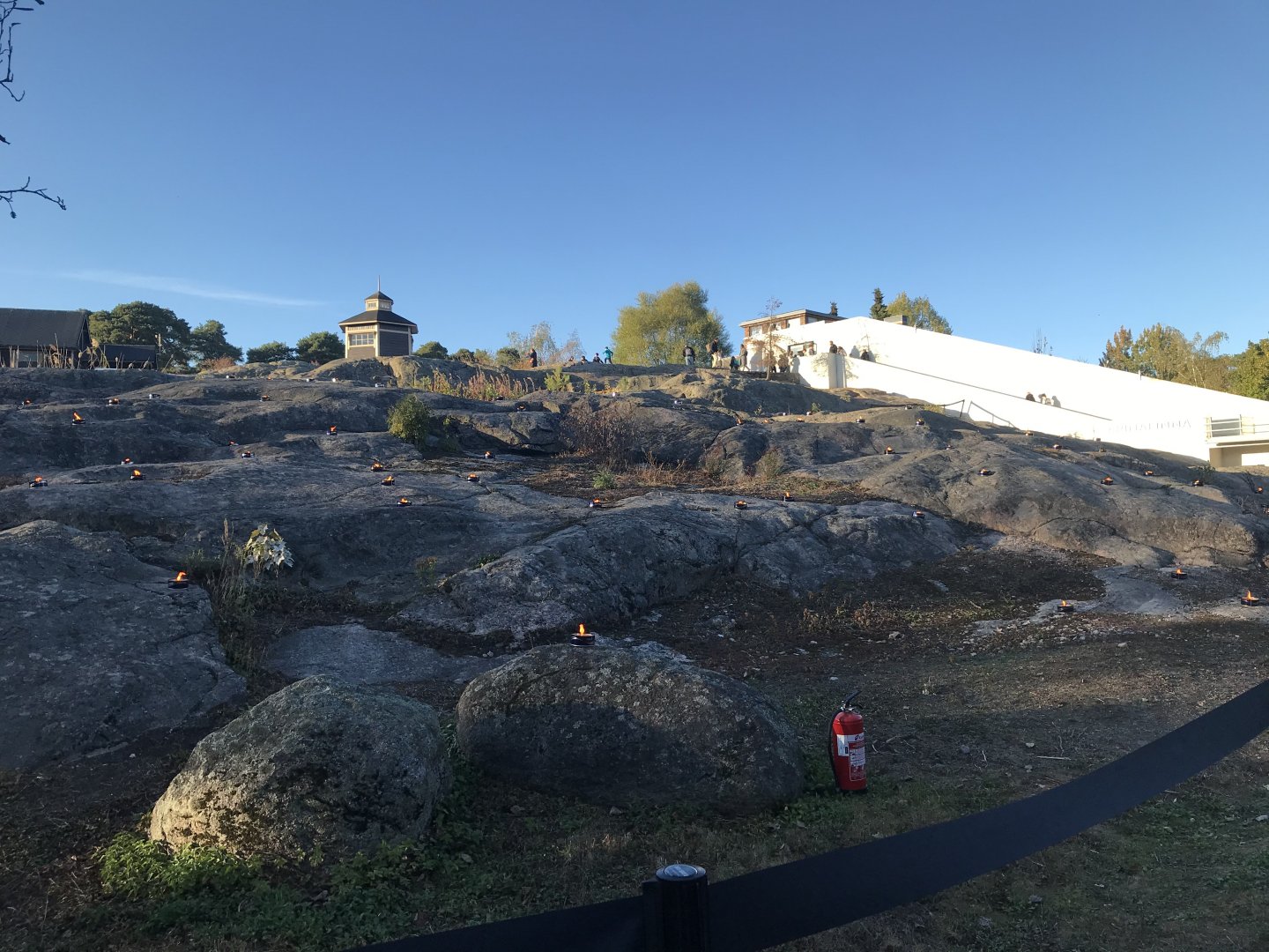 Amur fires at Night of the cats