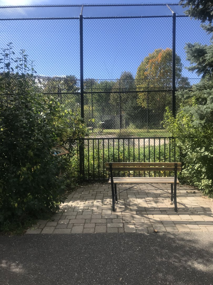 Amur/Generic Tiger Exhibit