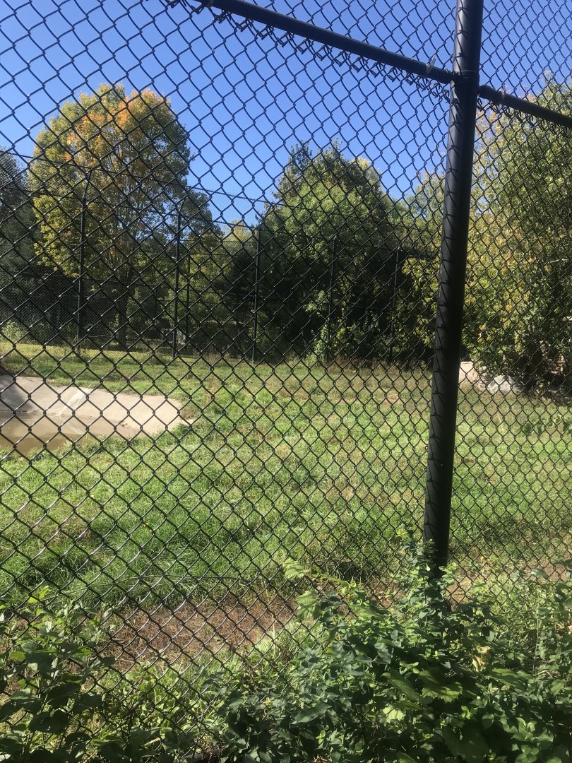 Amur/Generic Tiger Exhibit