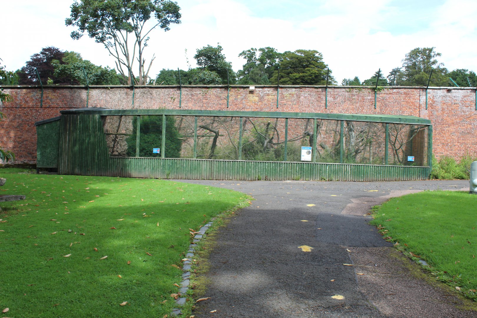 Amur leopard cat enclosure