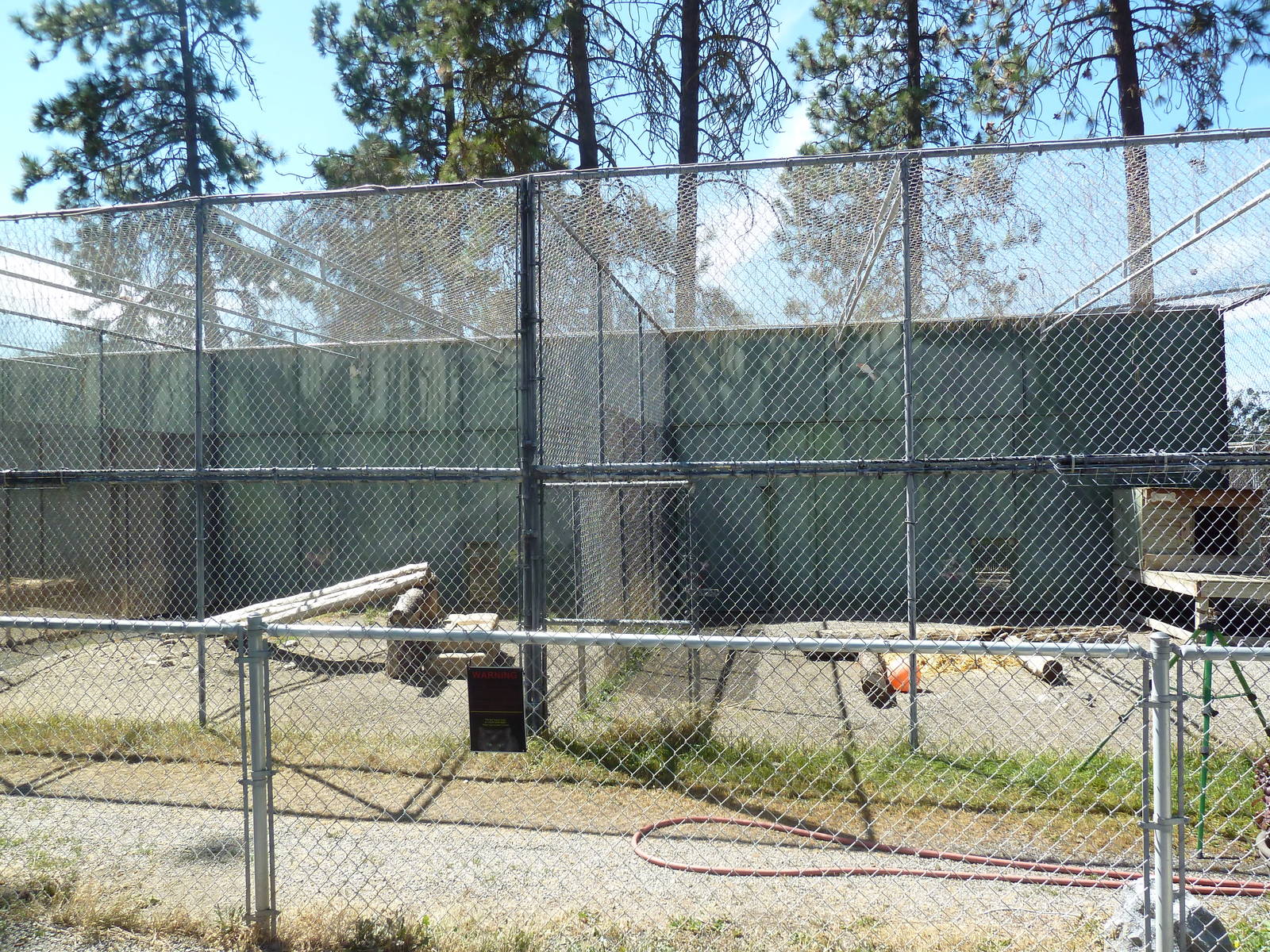 Amur Leopard + Cougar Exhibits