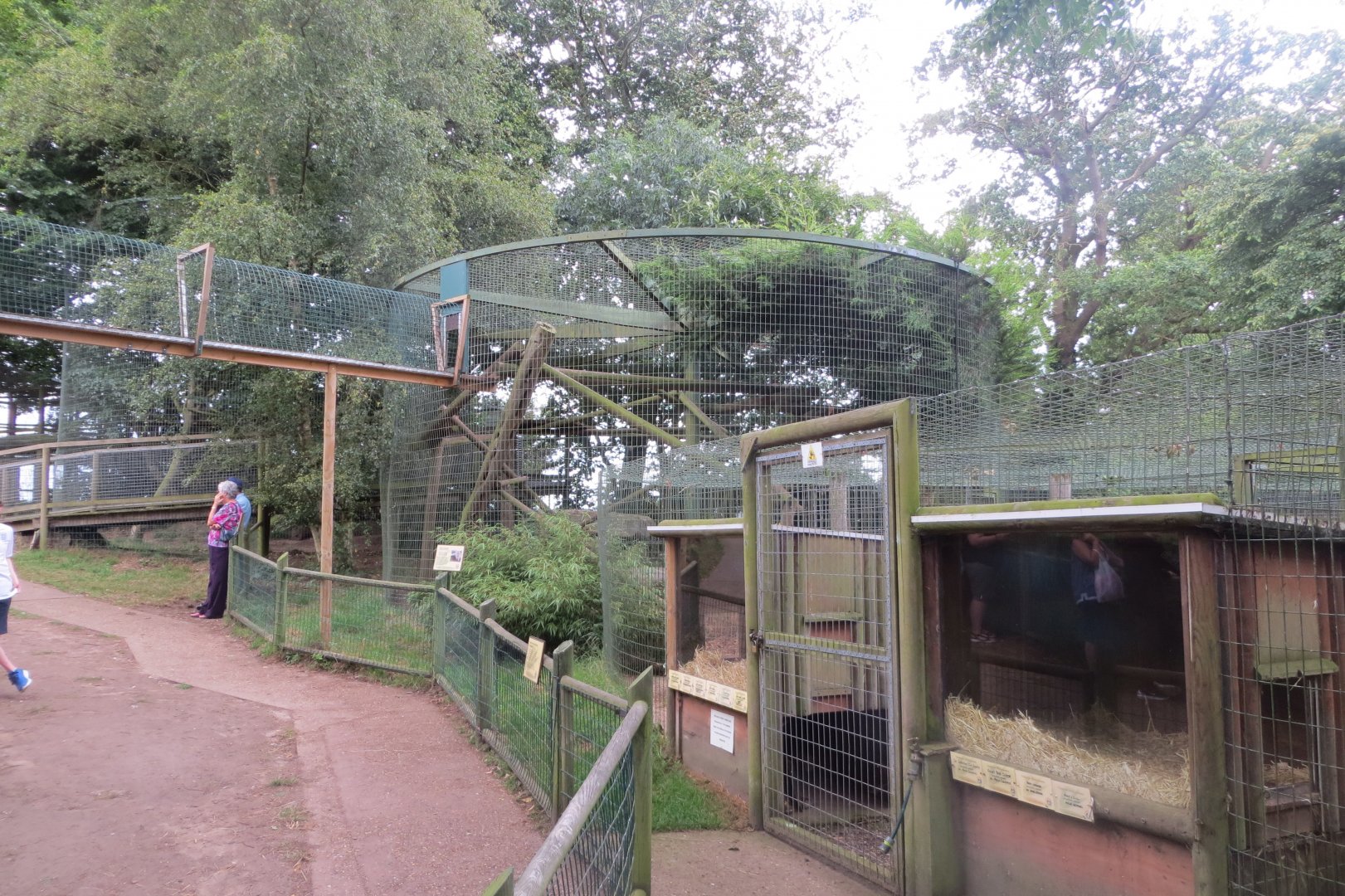 Amur leopard enclosure 070819