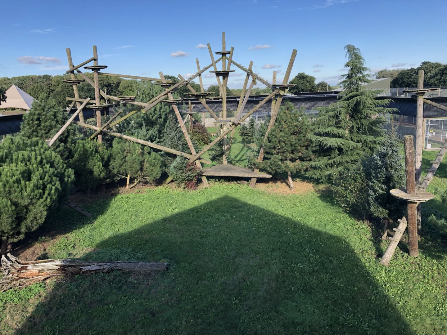 Amur Leopard Enclosure at Yorkshire Wildlife Park (October 2021)