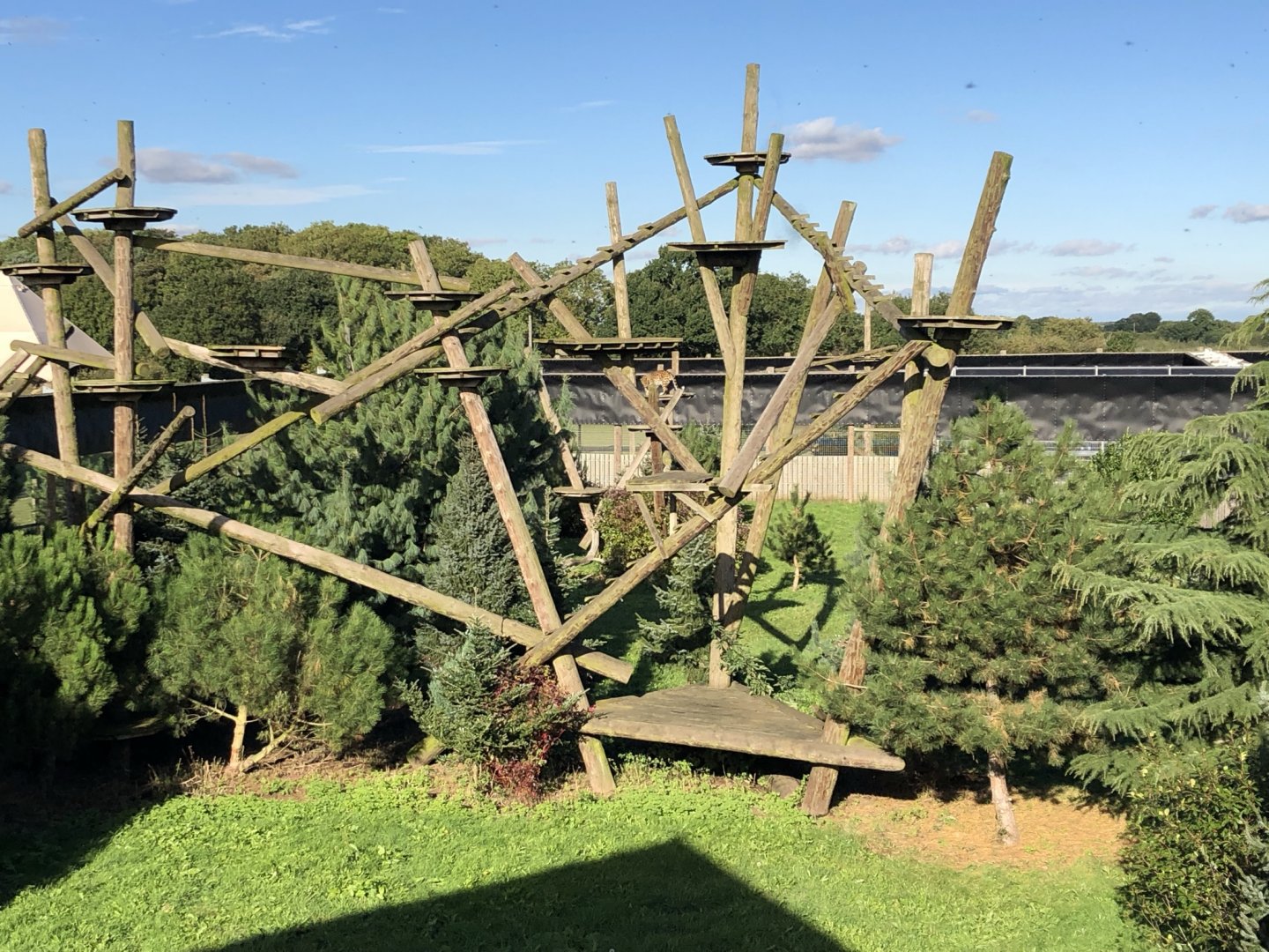 Amur Leopard Enclosure at Yorkshire Wildlife Park (October 2021)