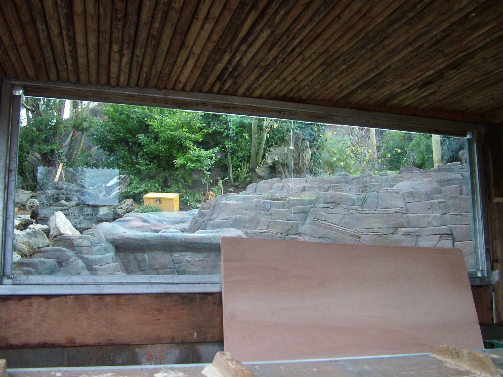 Amur Leopard enclosure construction at Colchester 29/11/09
