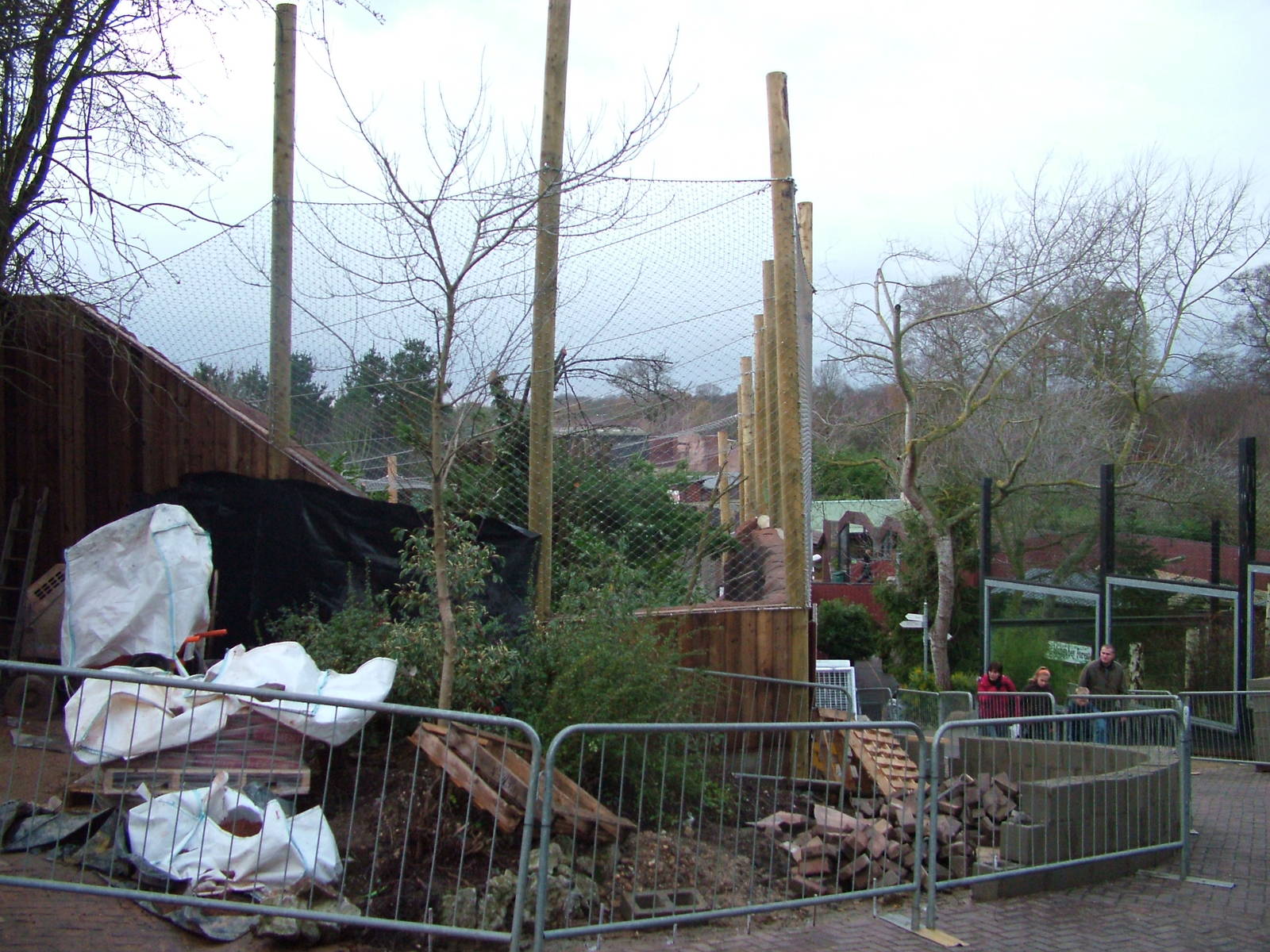 Amur Leopard enclosure construction at Colchester 29/11/09