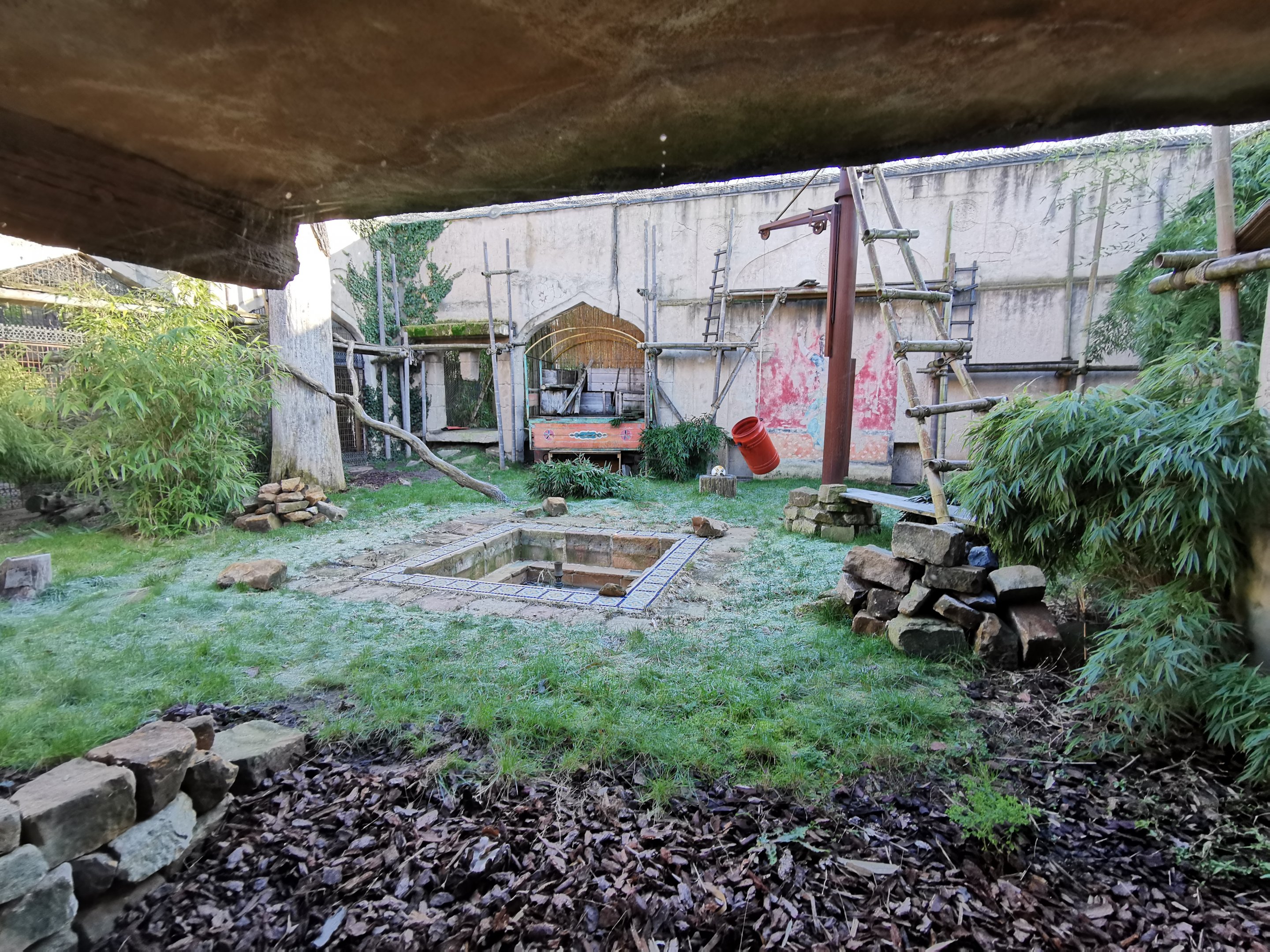 Amur leopard enclosure - "Indischen Dschungelpalast"