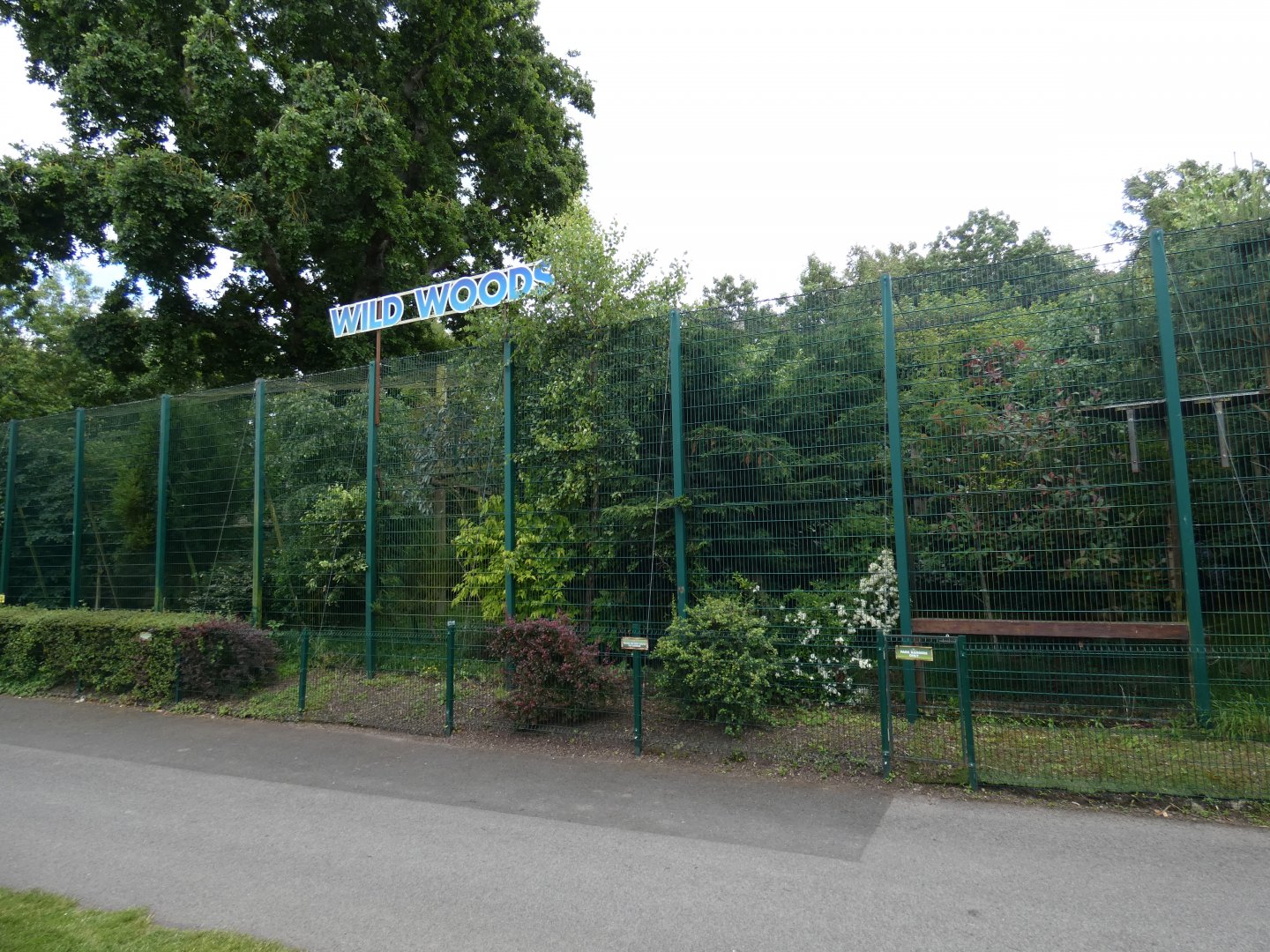Amur leopard enclosure side-view