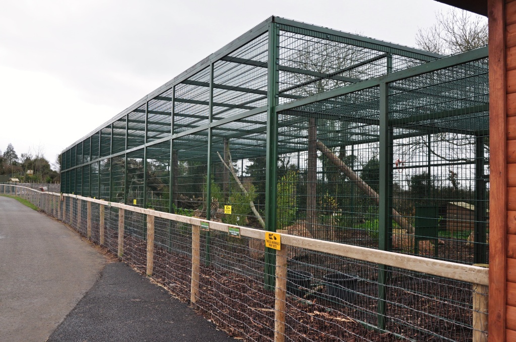 Amur Leopard enclosure, Tayto Park