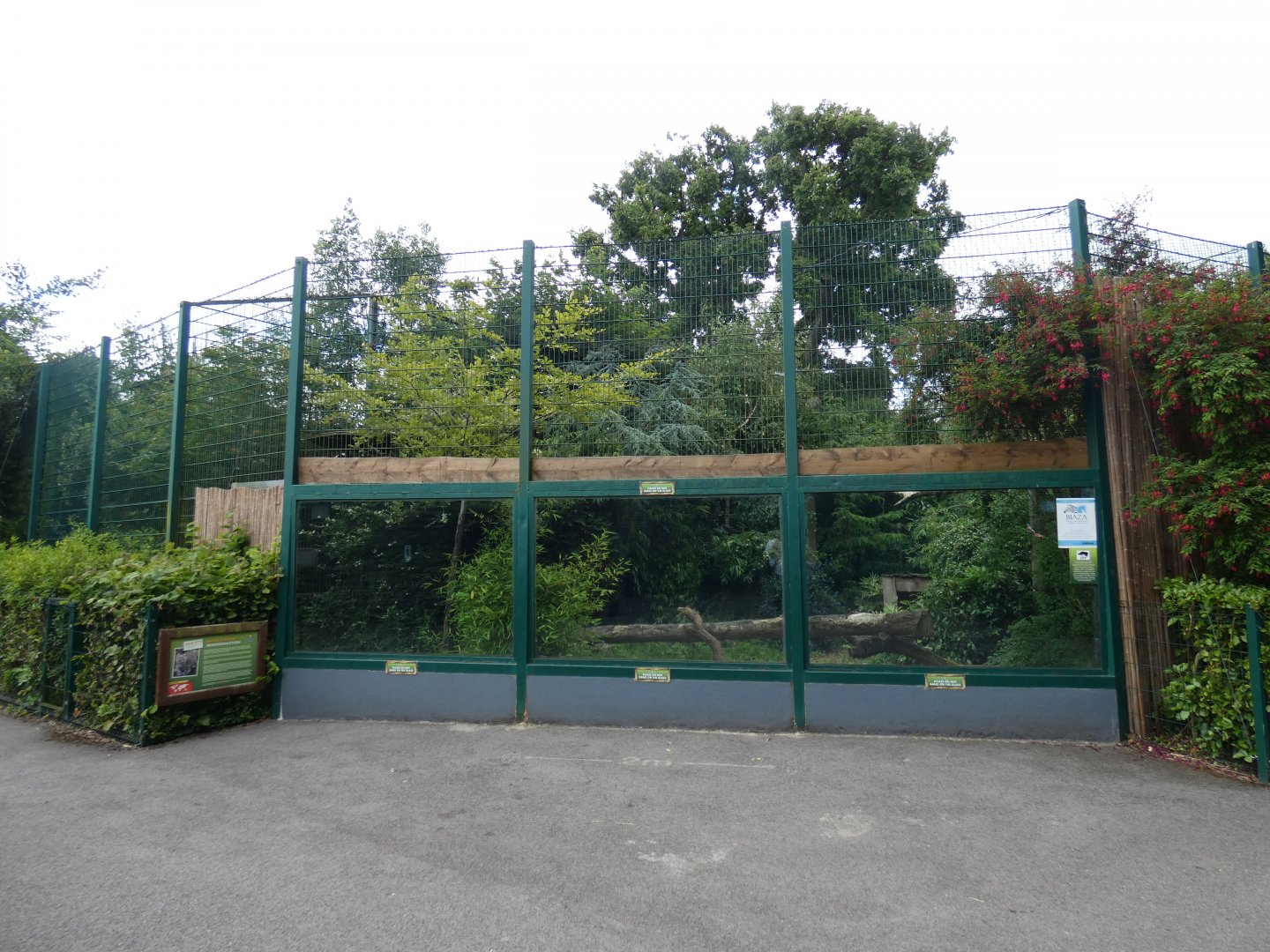 Amur leopard enclosure viewing area