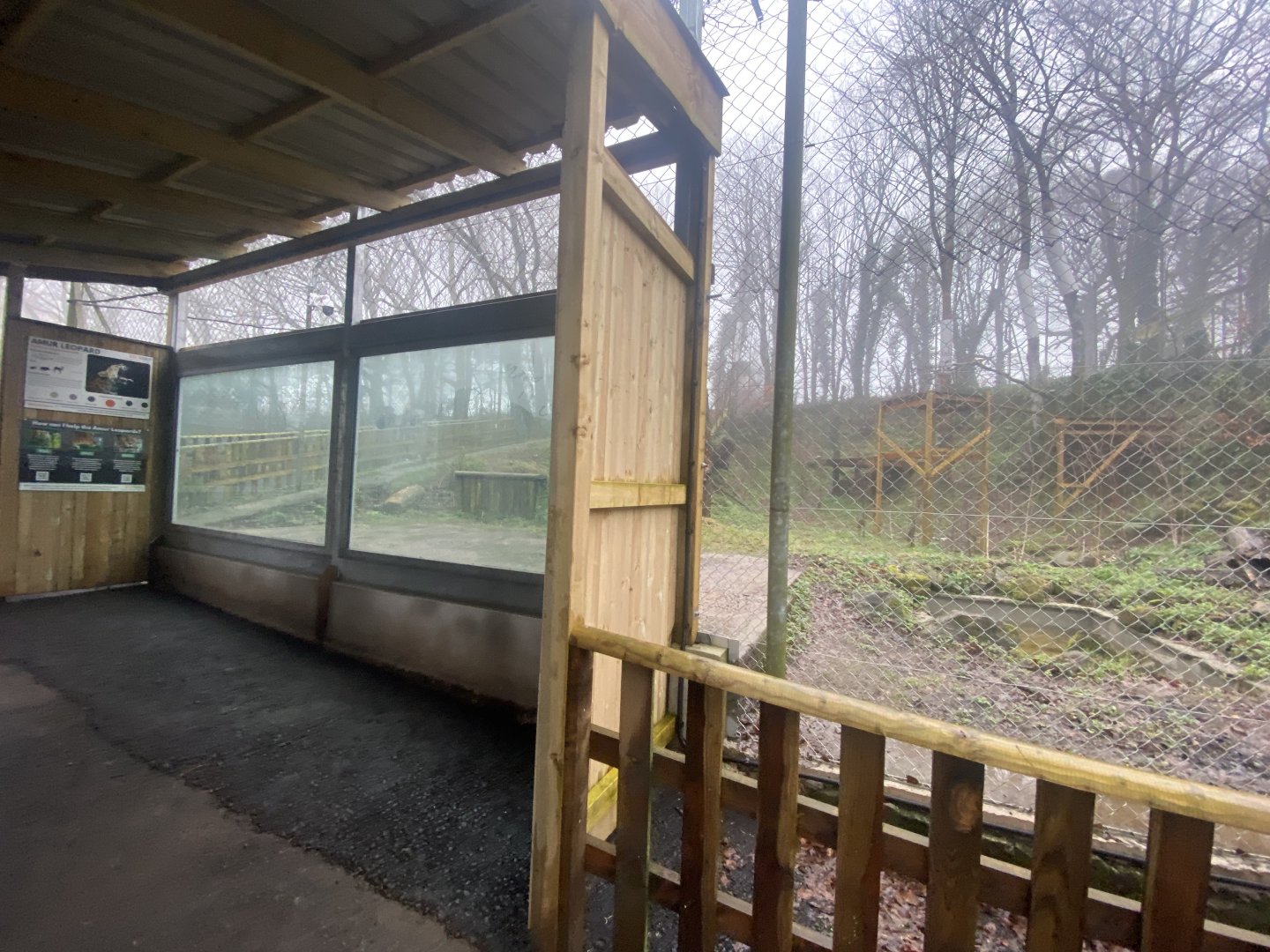 Amur leopard enclosure viewpoint 140224