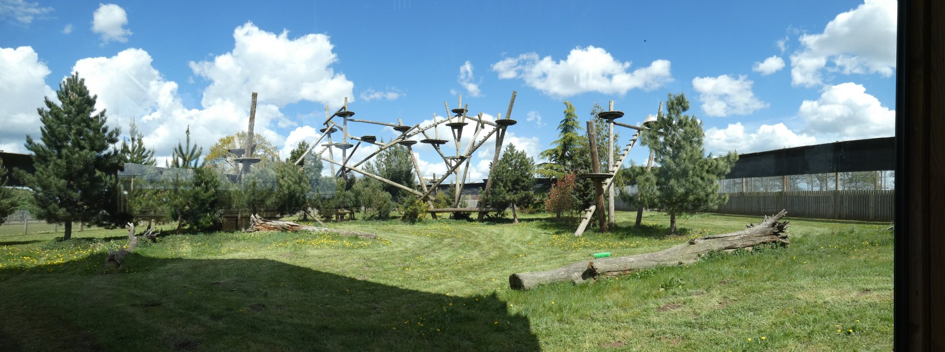 Amur leopard enclosure