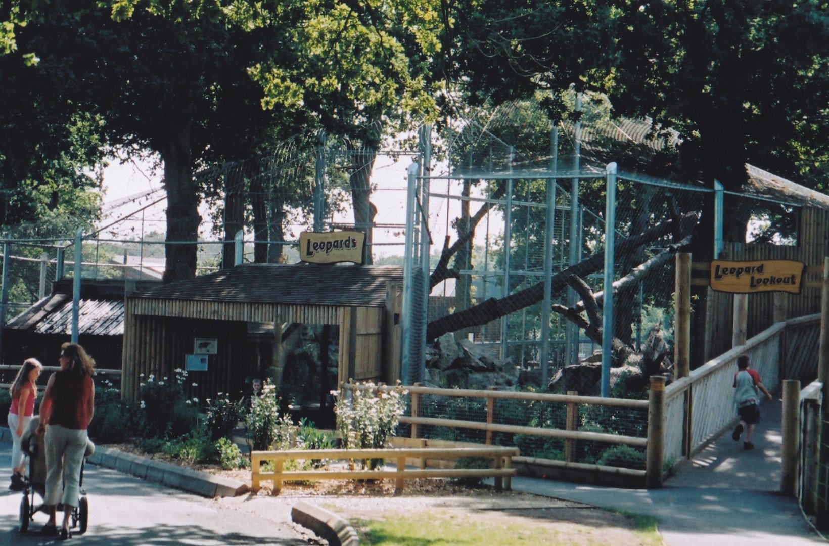 Amur Leopard Enclosure