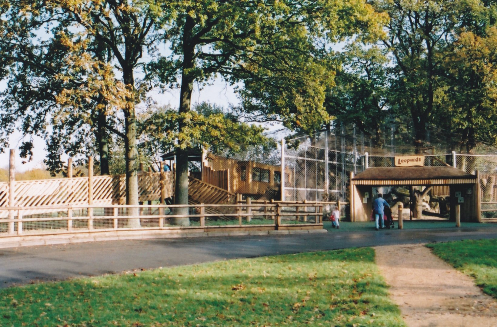 Amur Leopard Enclosure